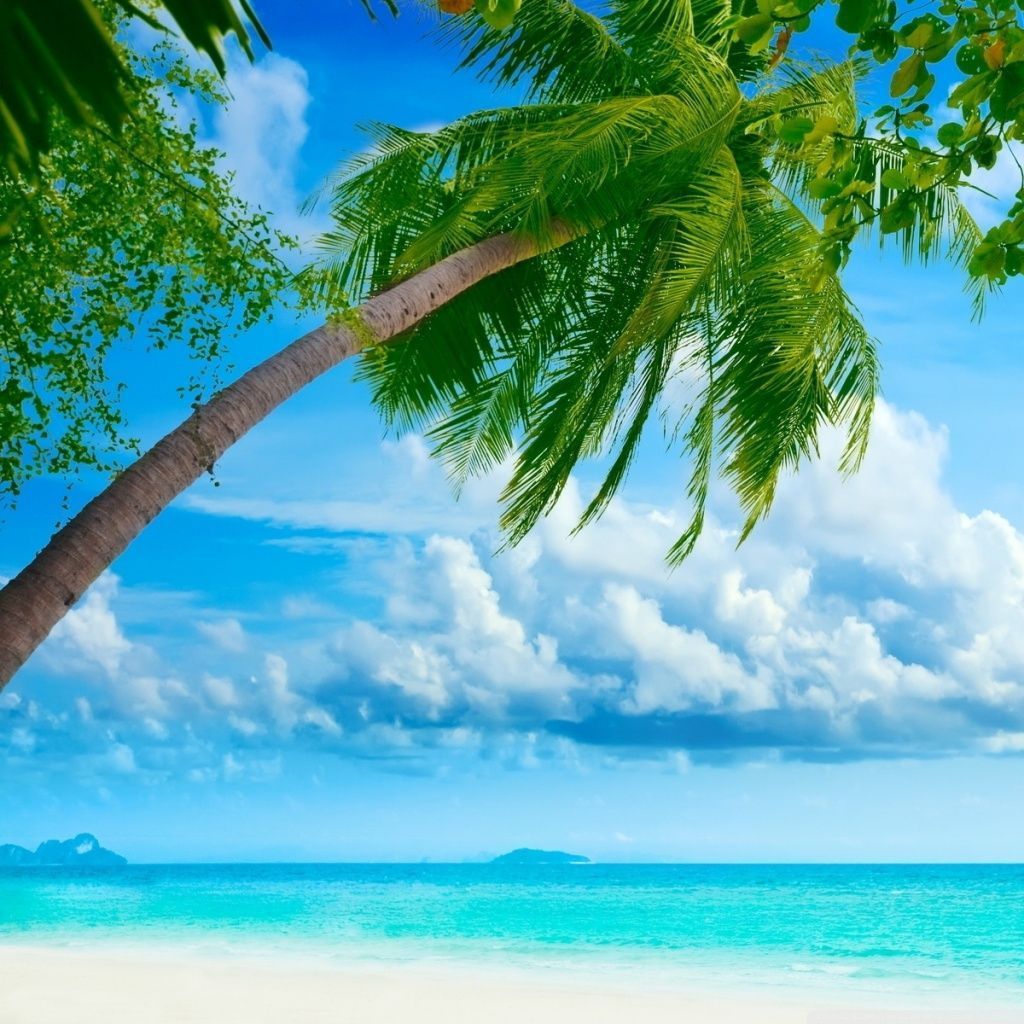 Tropical Beach Wallpapers