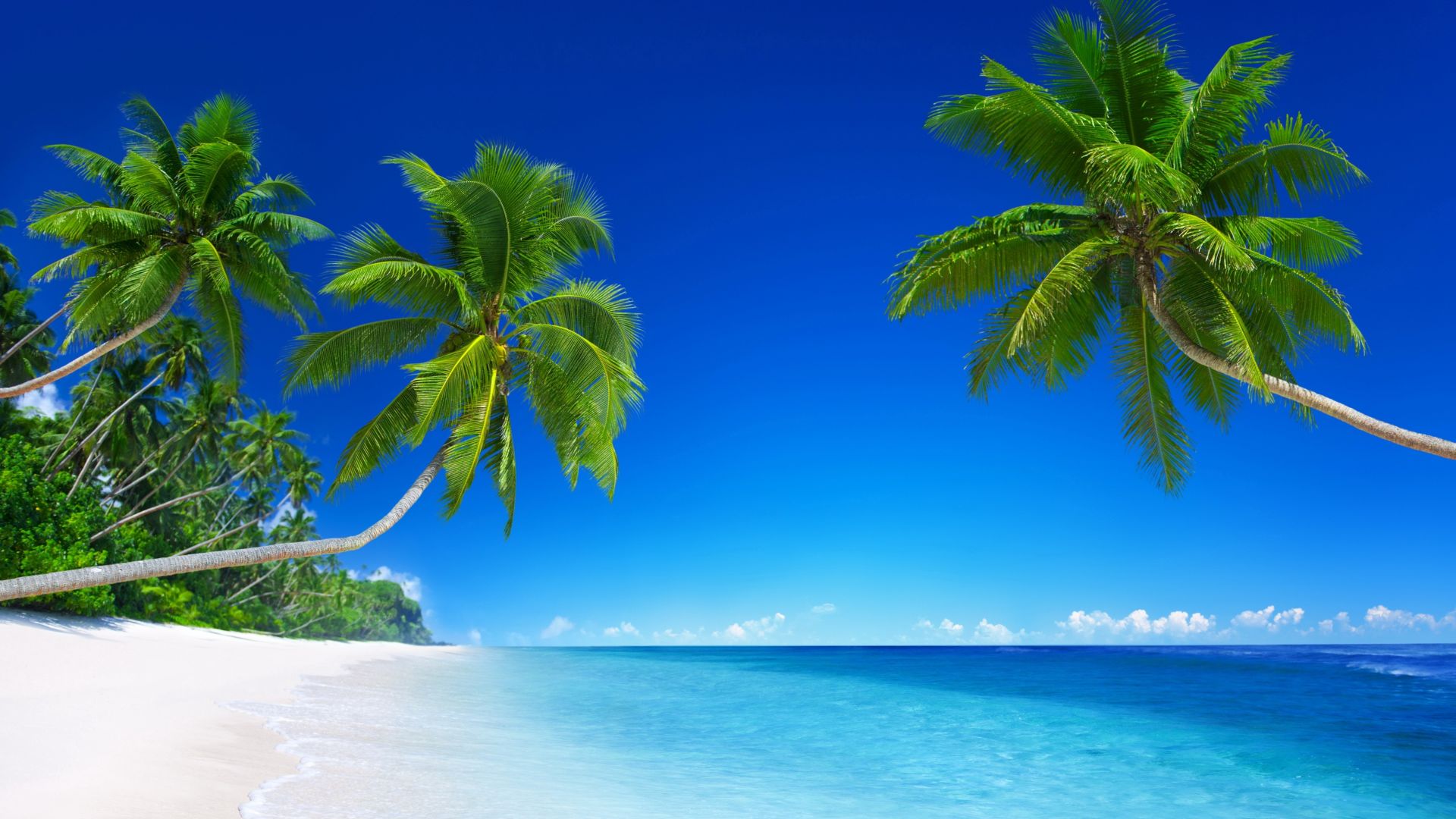 Tropical Beaches Desktop Wallpapers