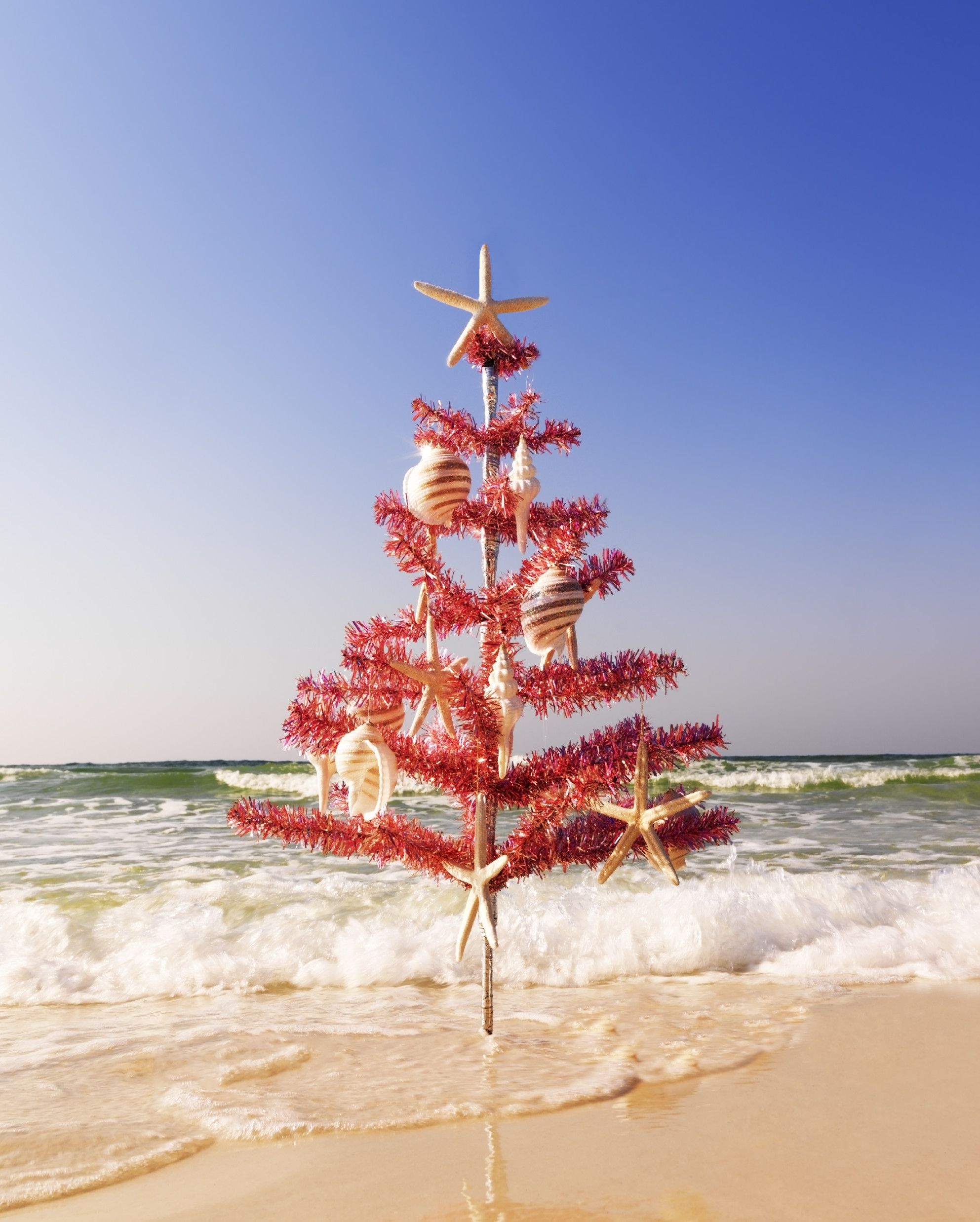 Tropical Christmas Wallpapers