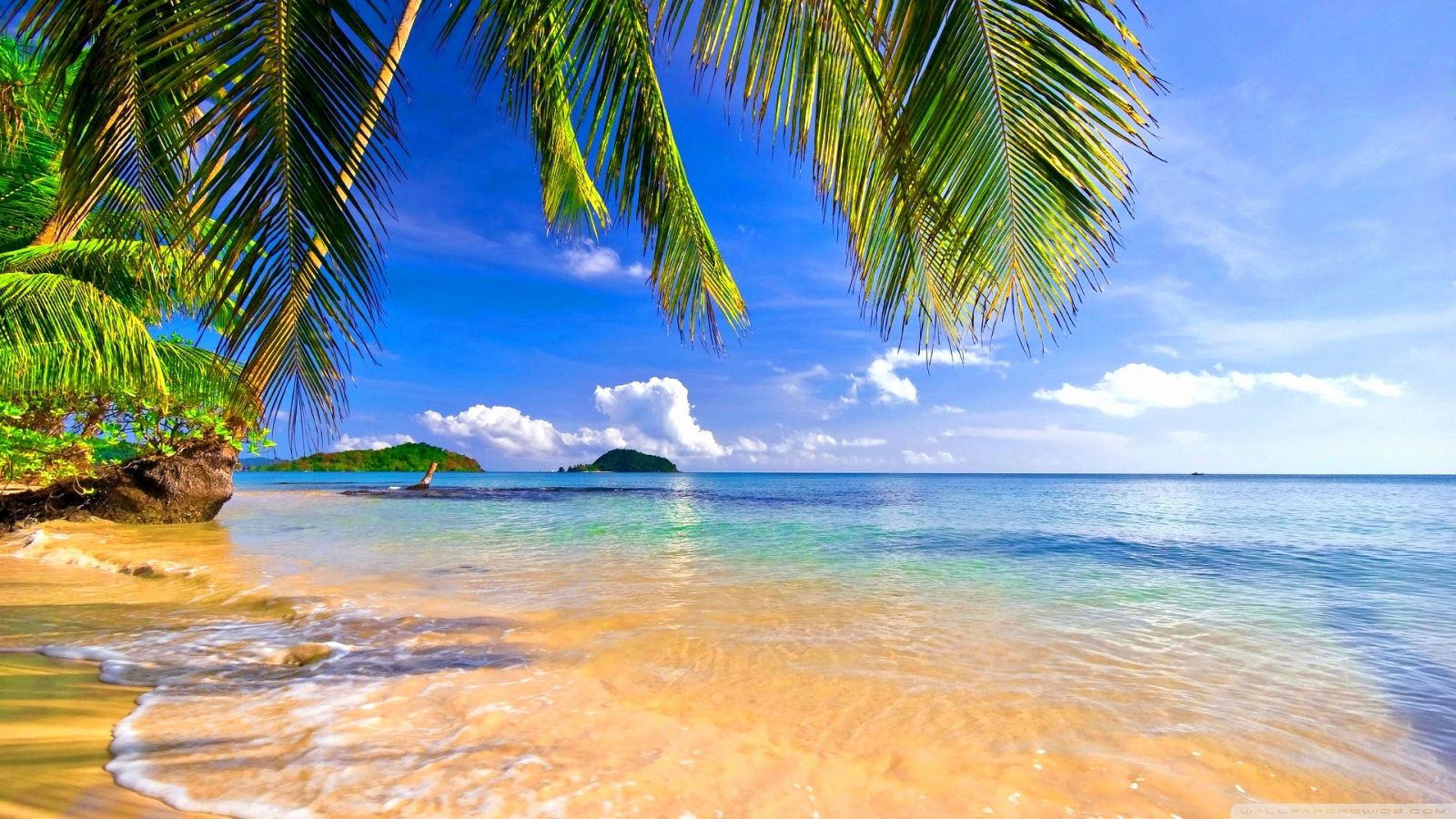 Tropical Desktop Wallpapers