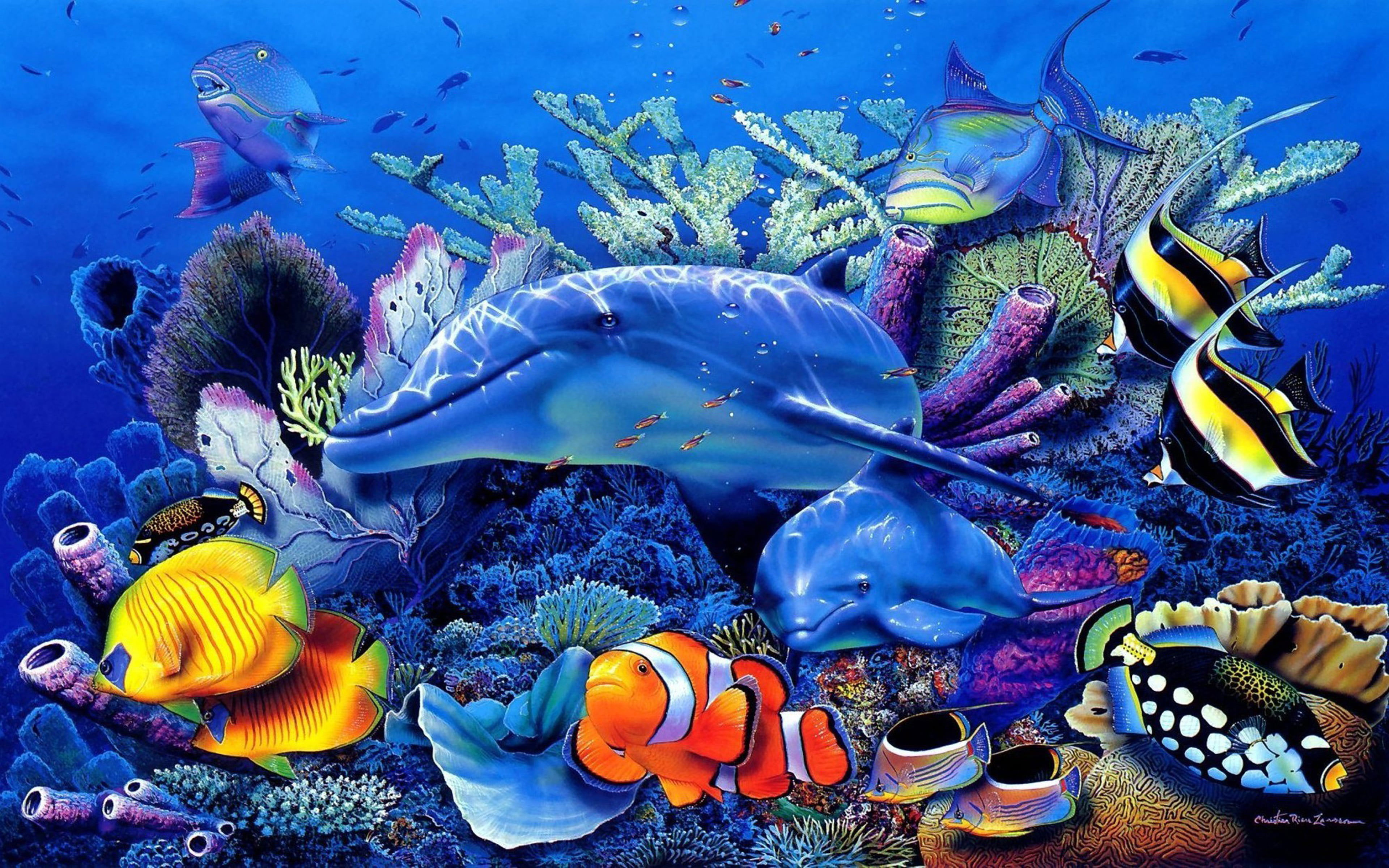 Tropical Fishes Wallpapers