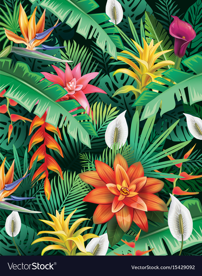 Tropical Floral Background