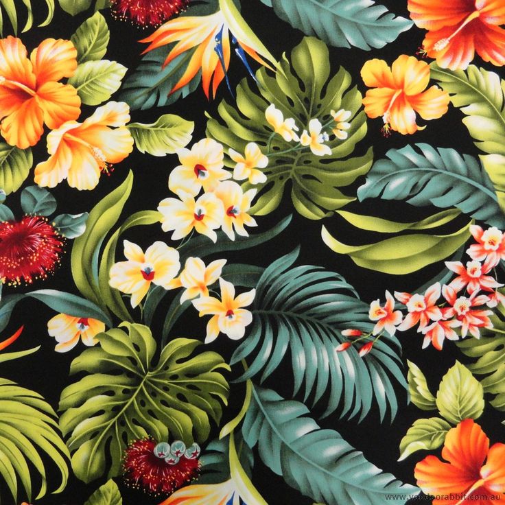 Tropical Floral Background