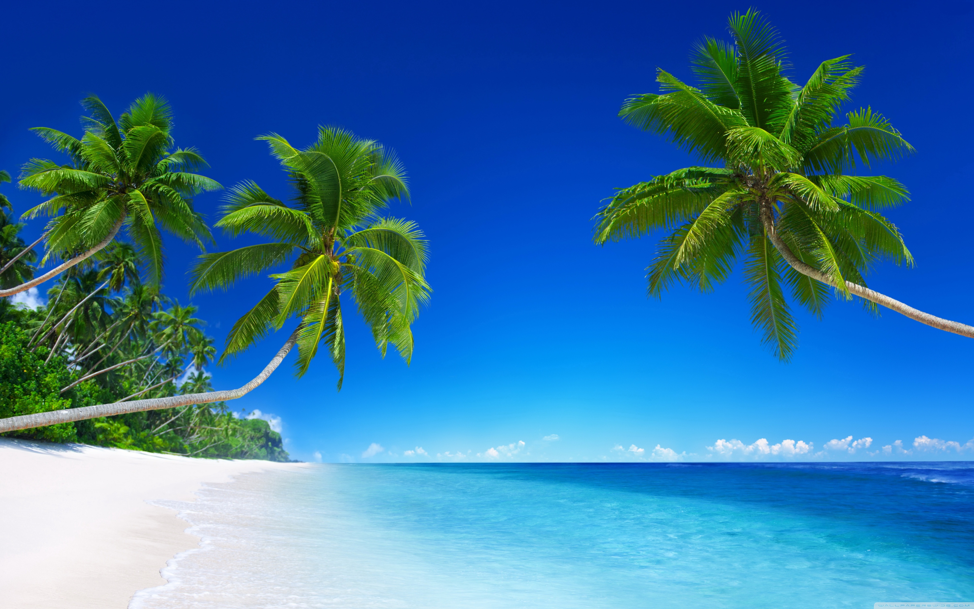 Tropical Hd Wallpapers