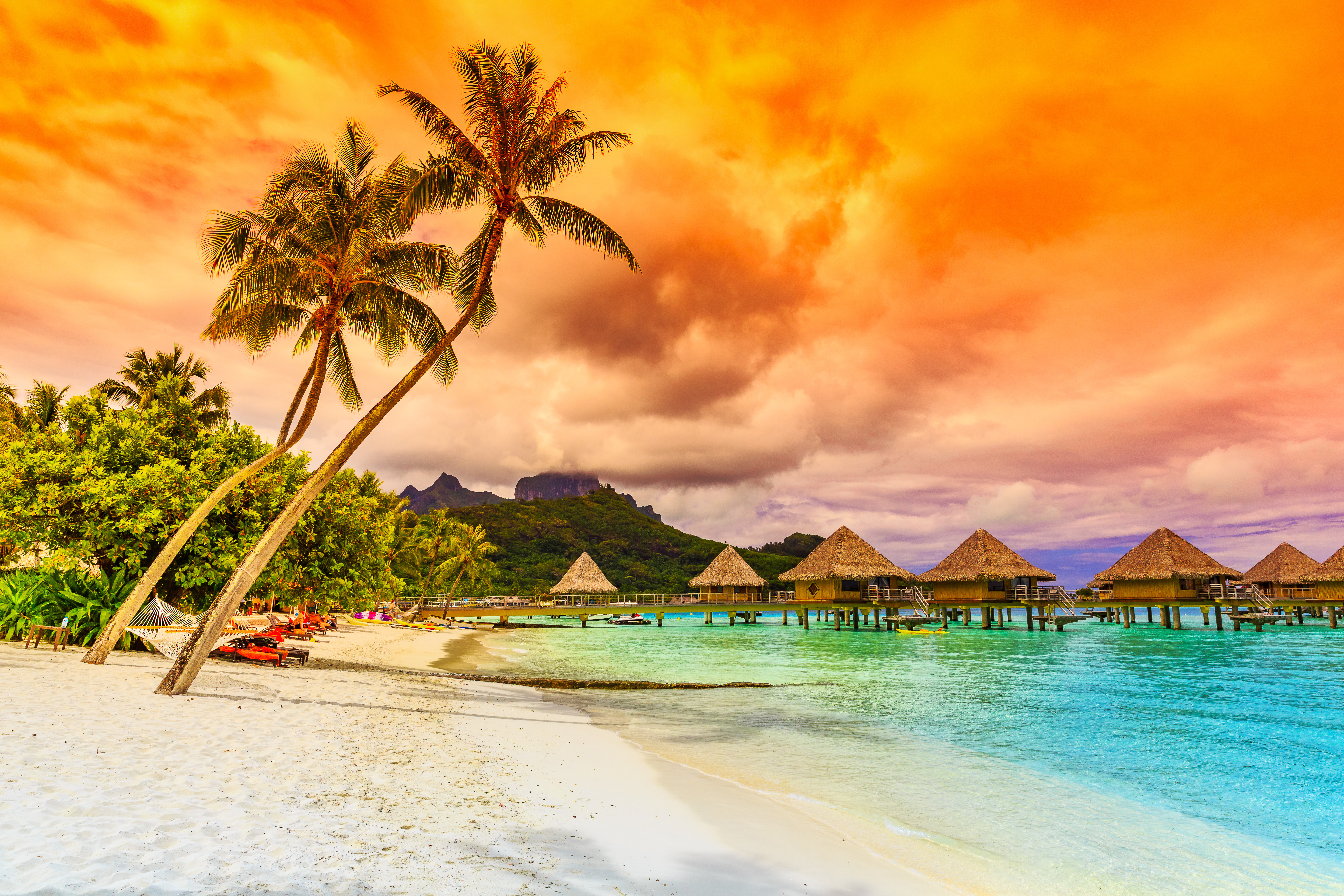 Tropical Hd Wallpapers