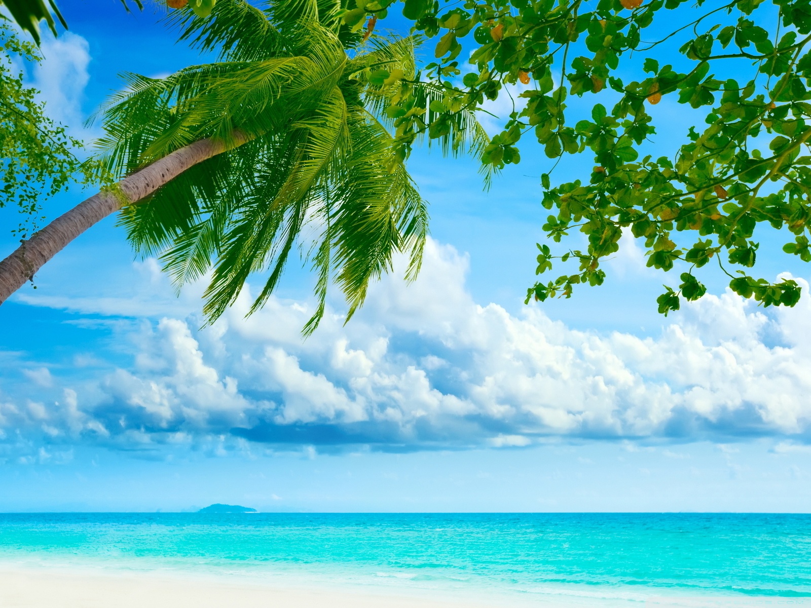 Tropical Hd Wallpapers