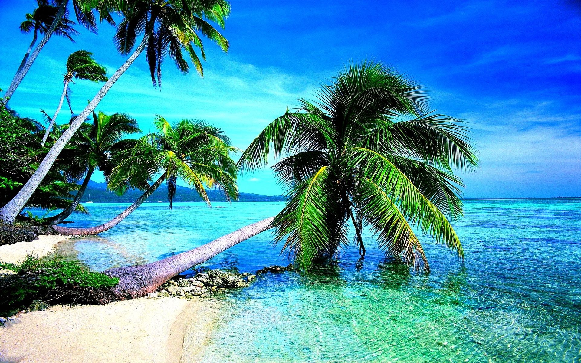 Tropical Hd Wallpapers
