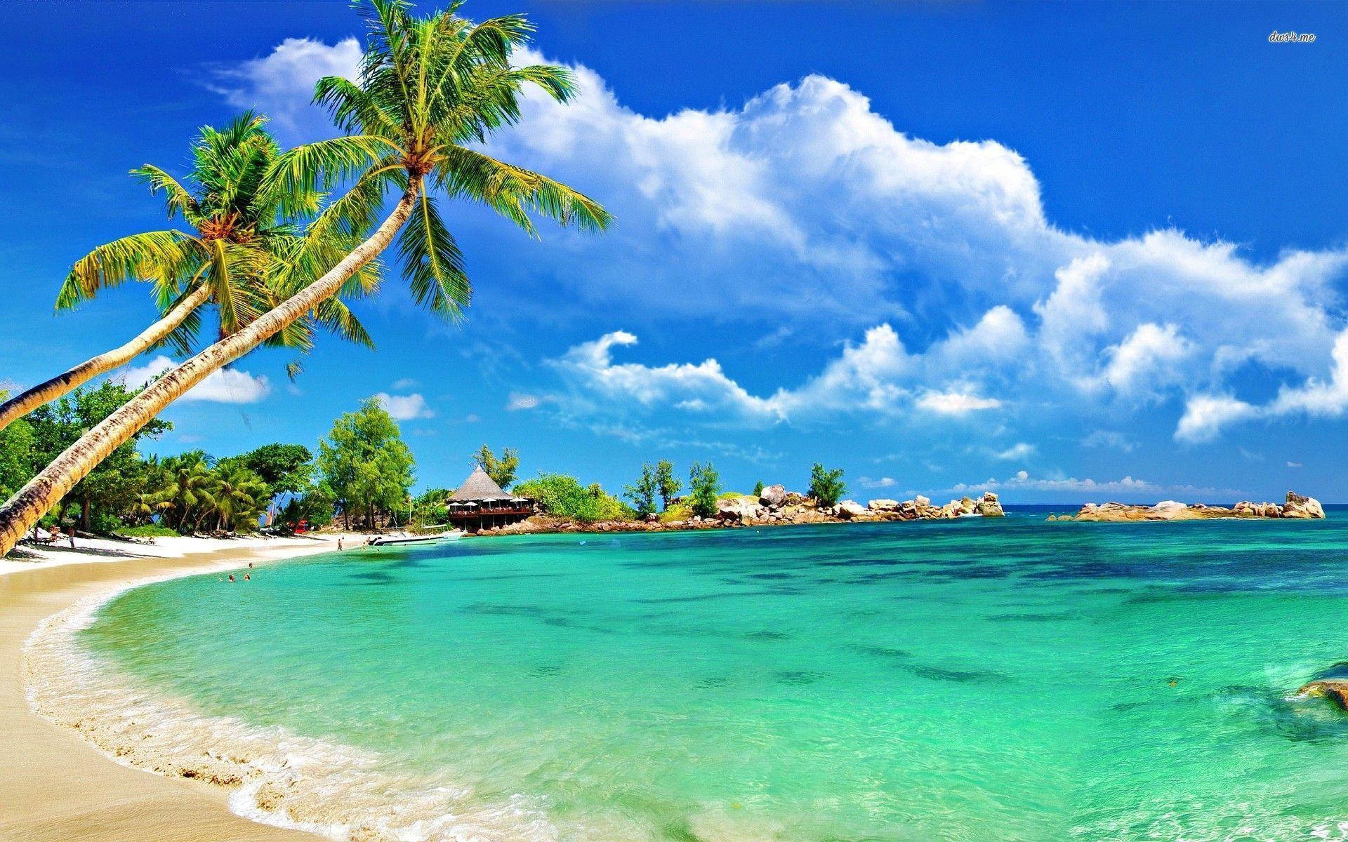 Tropical Hd Wallpapers