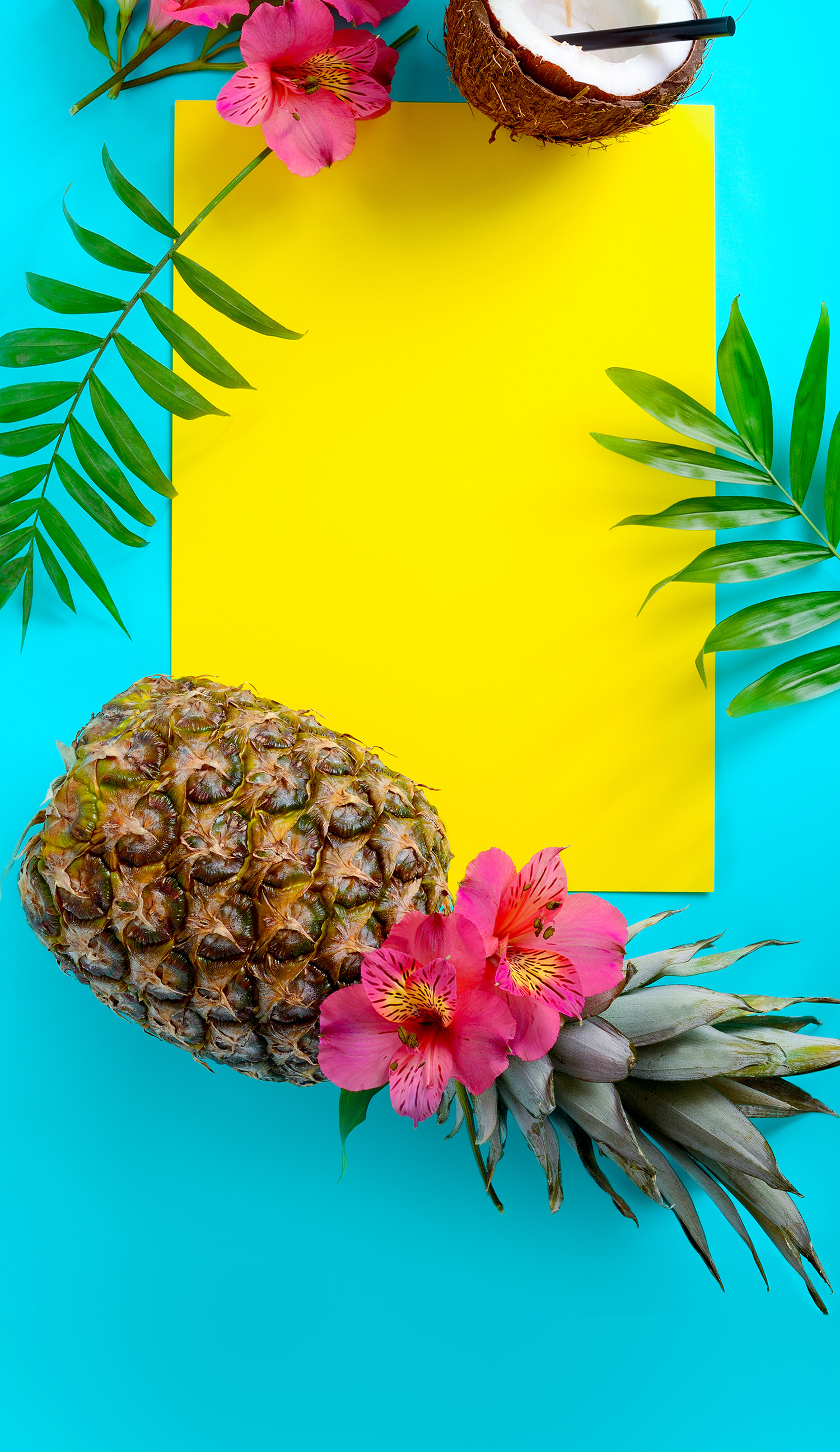 Tropical Iphone Wallpapers