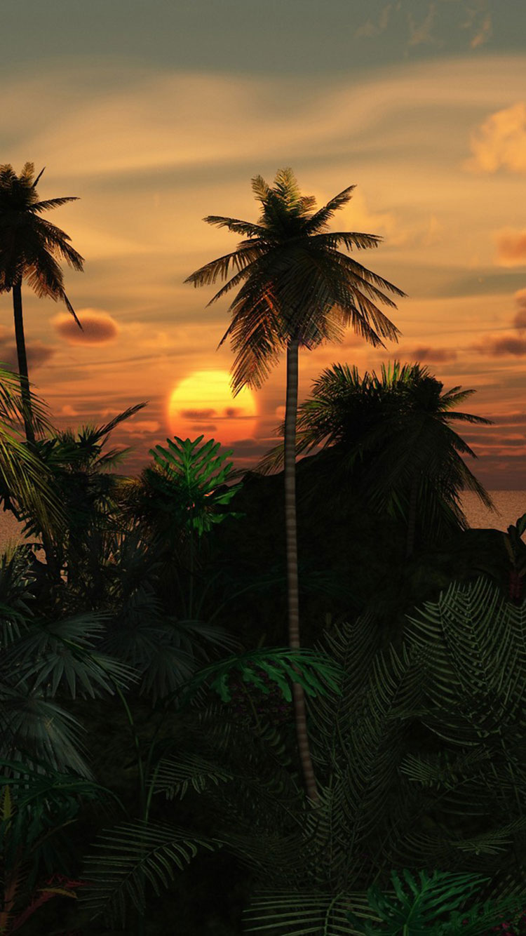 Tropical Iphone Wallpapers