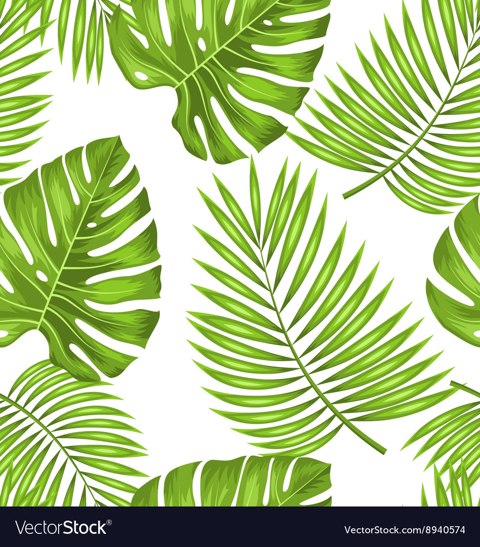 Tropical Leaf Wallpapers