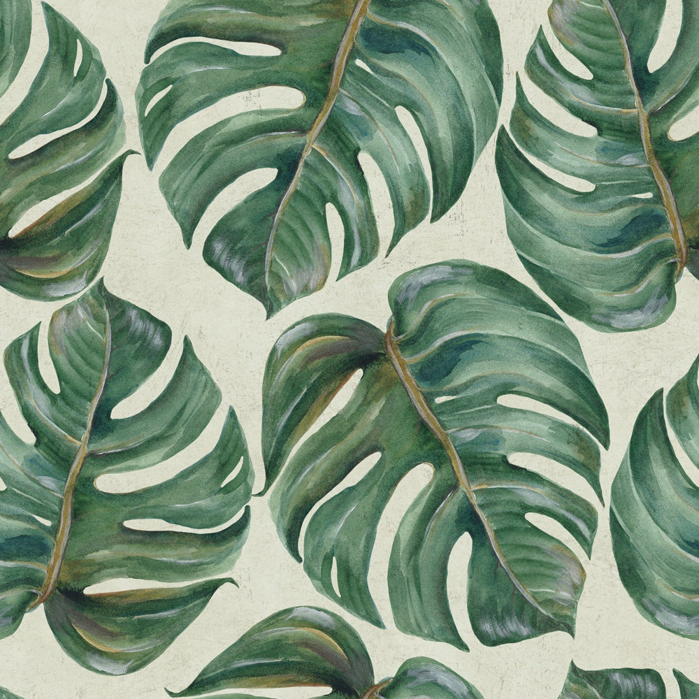 Tropical Leaf Wallpapers