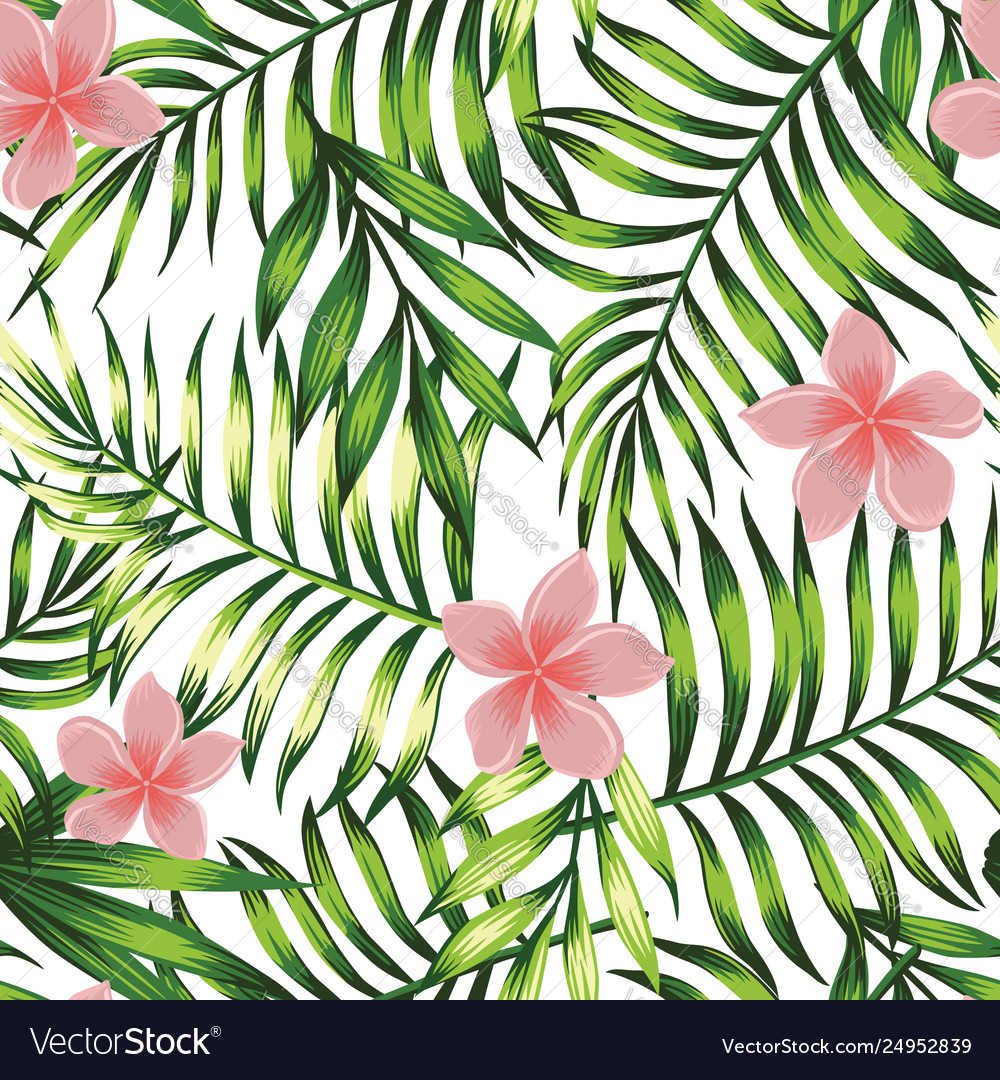 Tropical Leaf Wallpapers