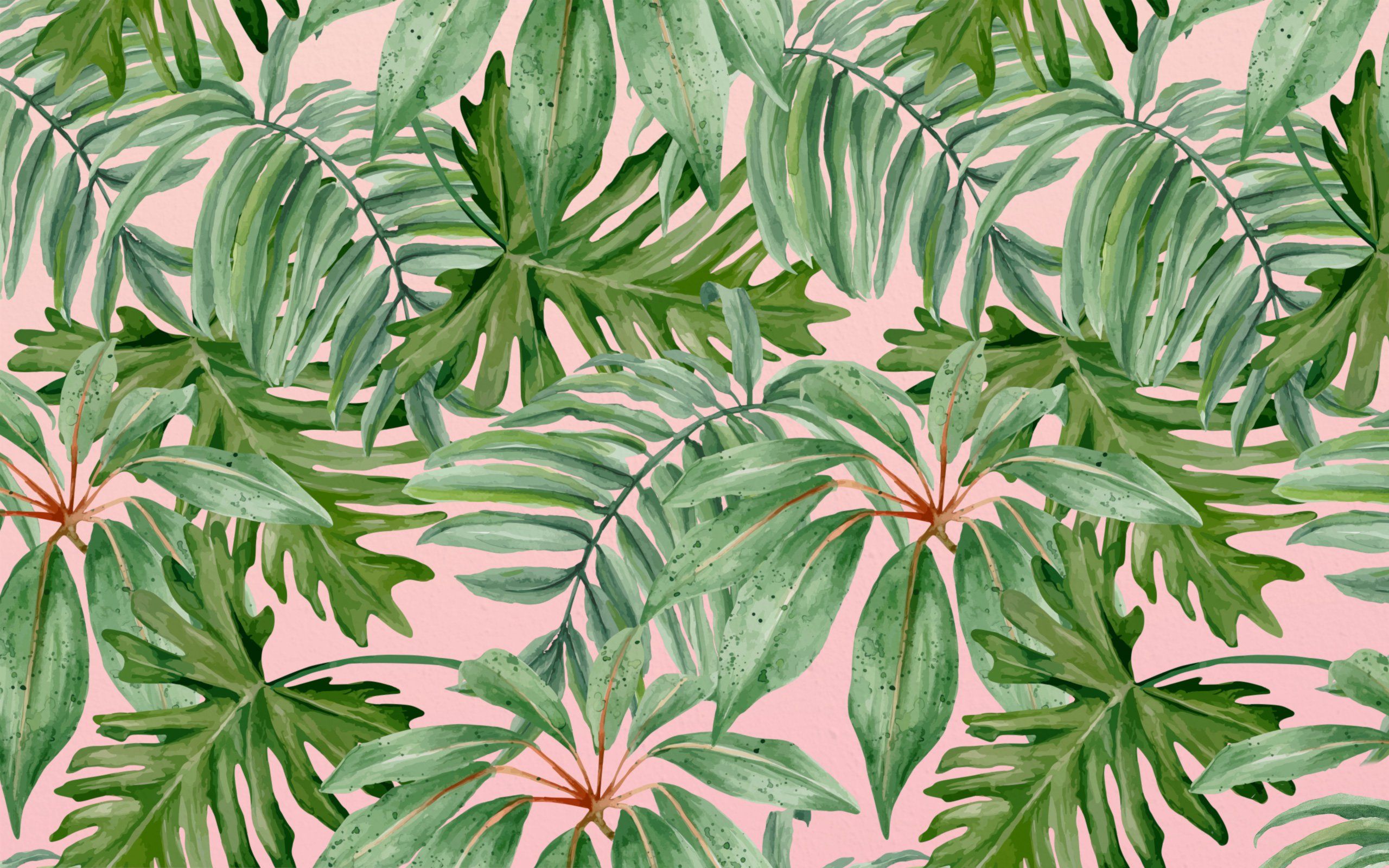 Tropical Leaf Wallpapers