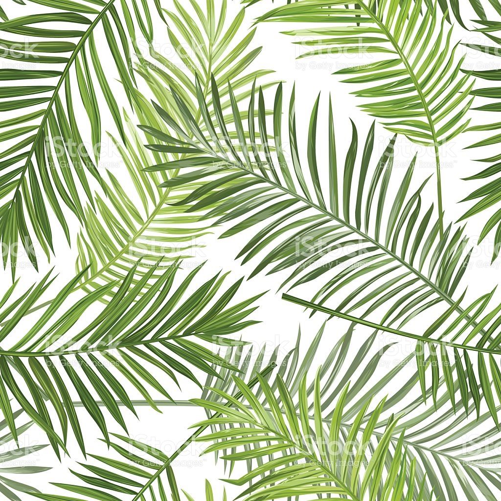 Tropical Leaf Wallpapers