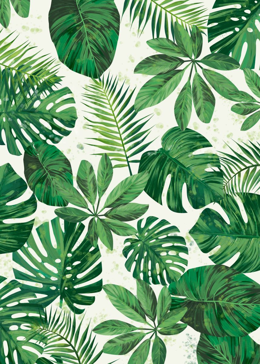 Tropical Leaf Wallpapers