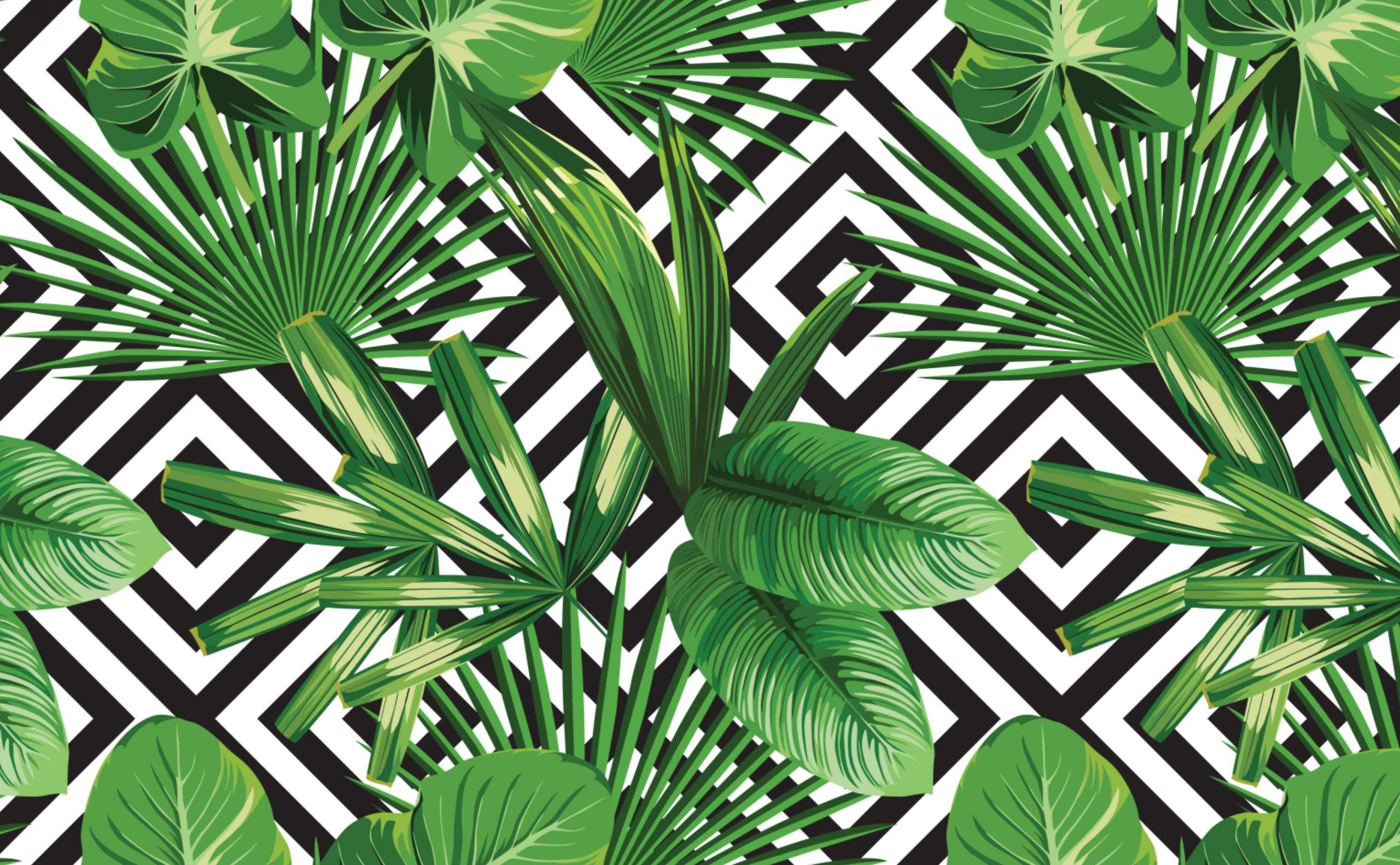 Tropical Leaf Wallpapers