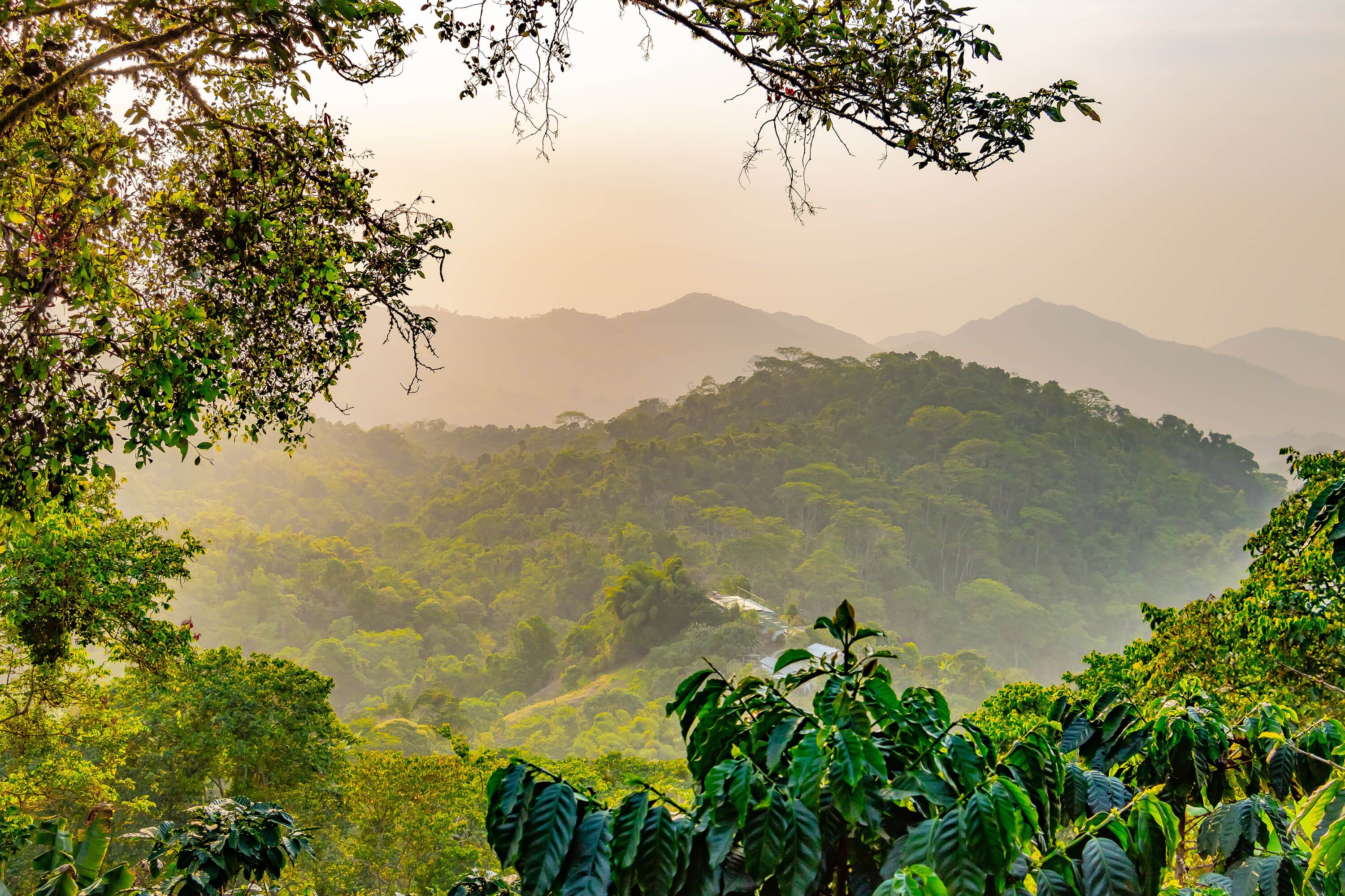 Tropical Mountains Wallpapers