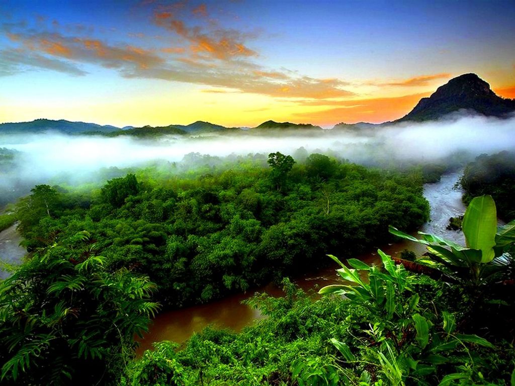 Tropical Mountains Wallpapers