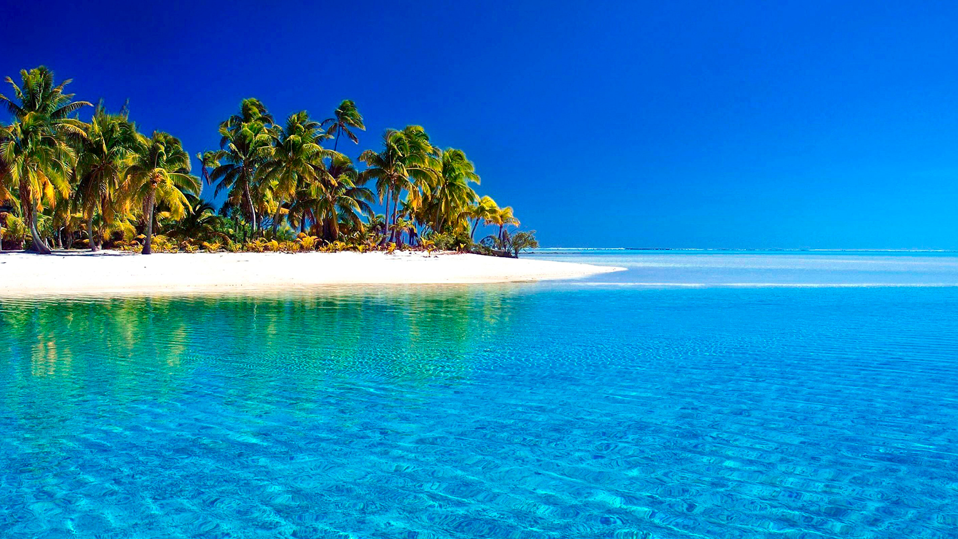 Tropical Paradise Wallpapers