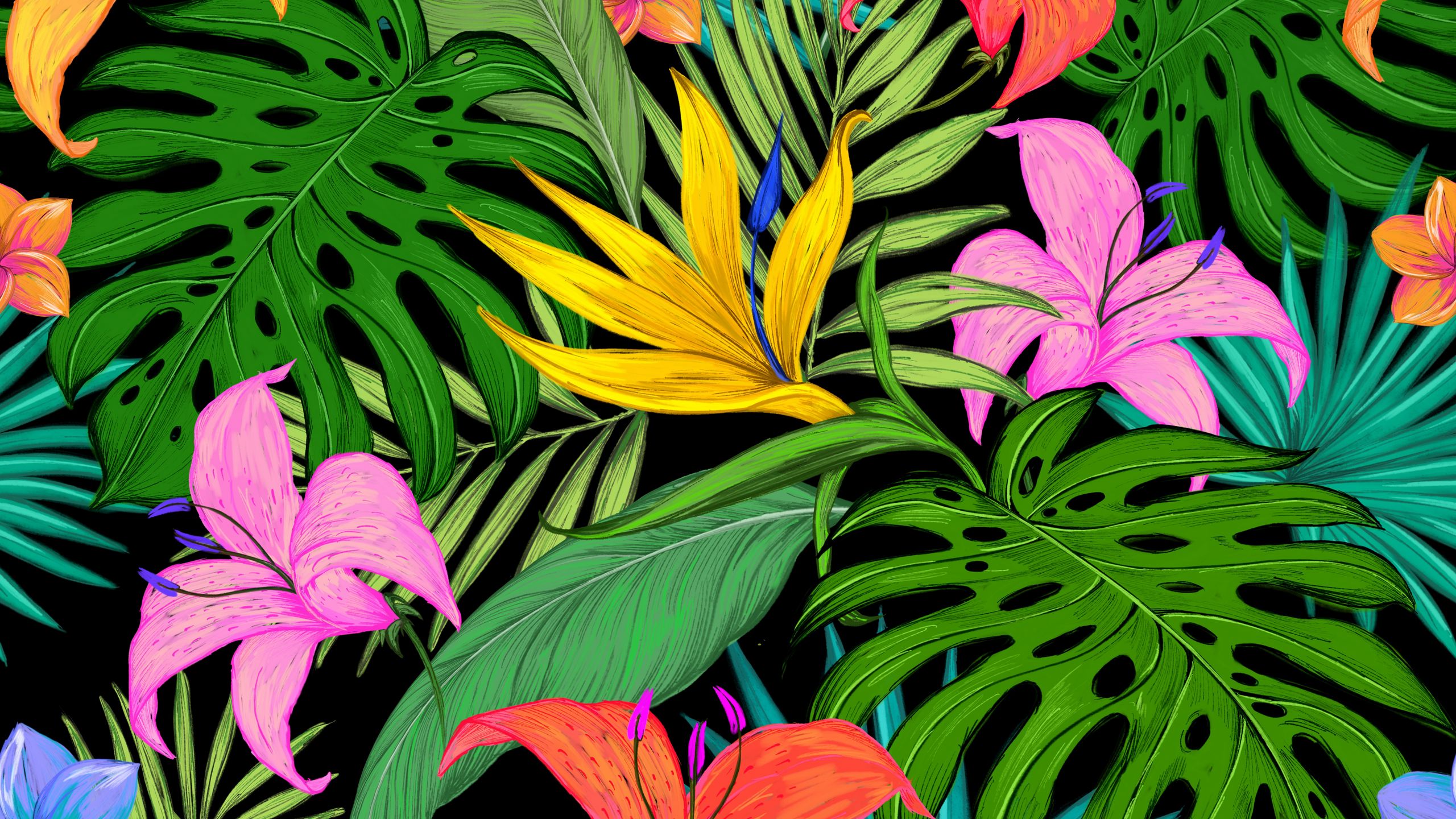 Tropical Patterns Wallpapers