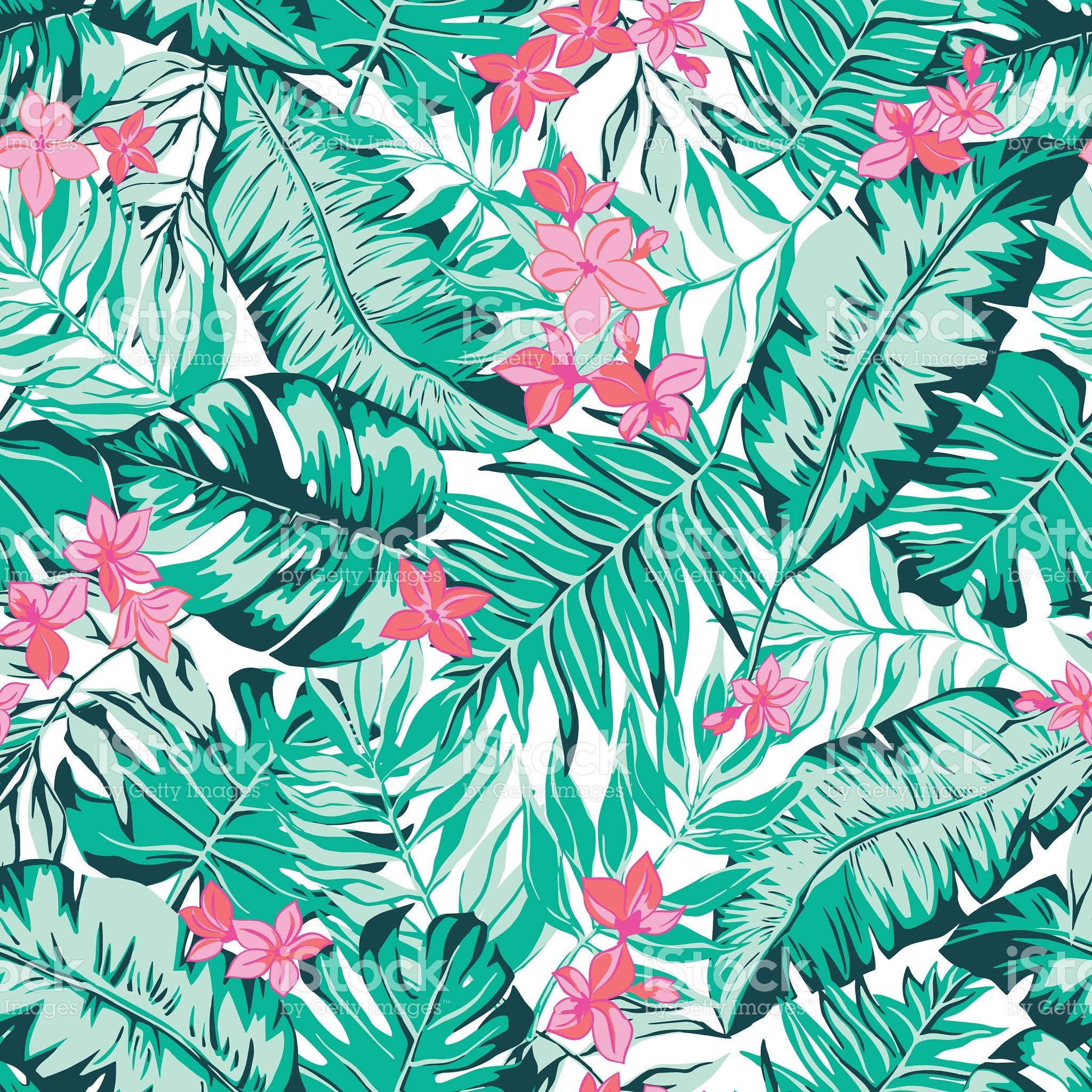 Tropical Patterns Wallpapers