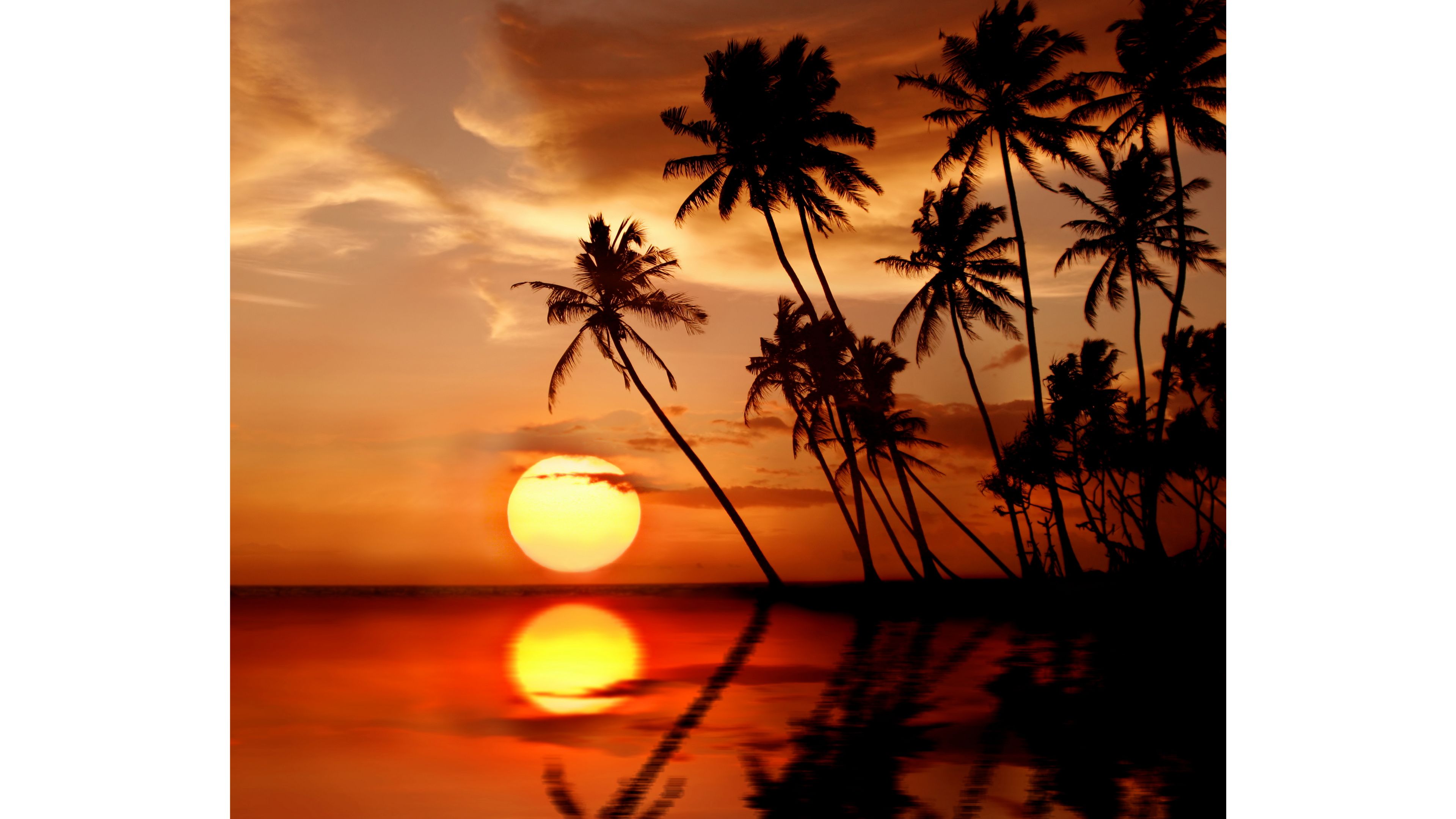 Tropical Sunset Wallpapers