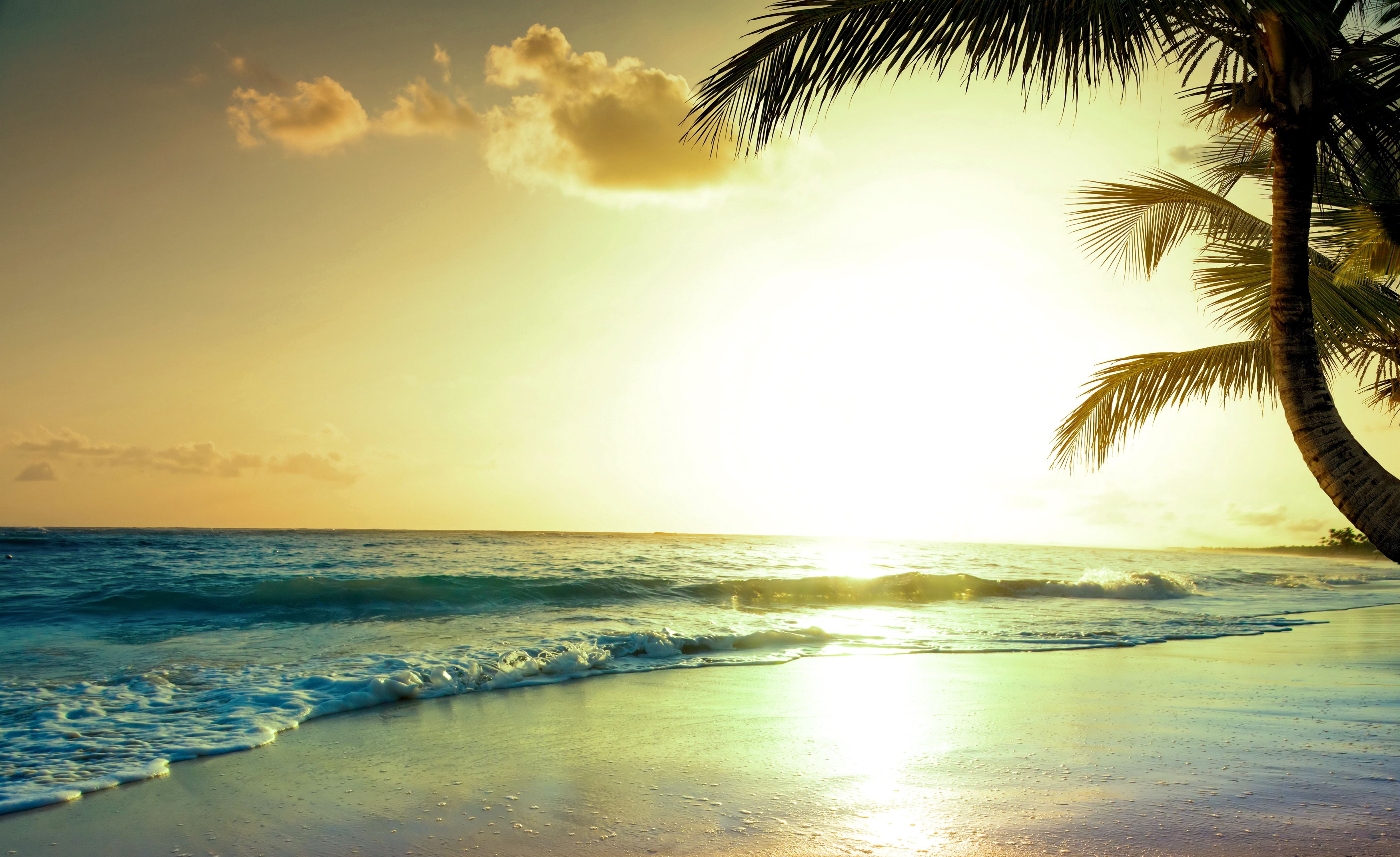 Tropical Sunset Wallpapers