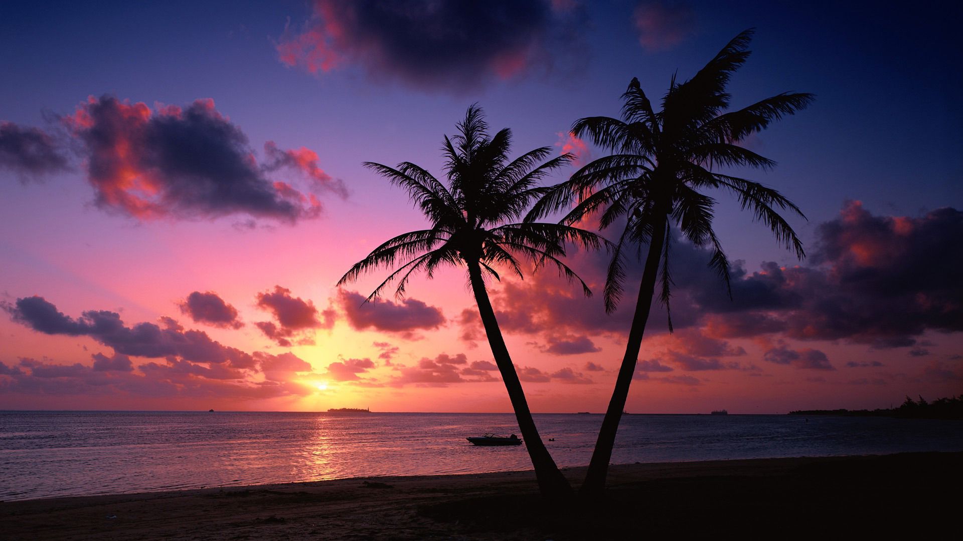 Tropical Sunset Wallpapers