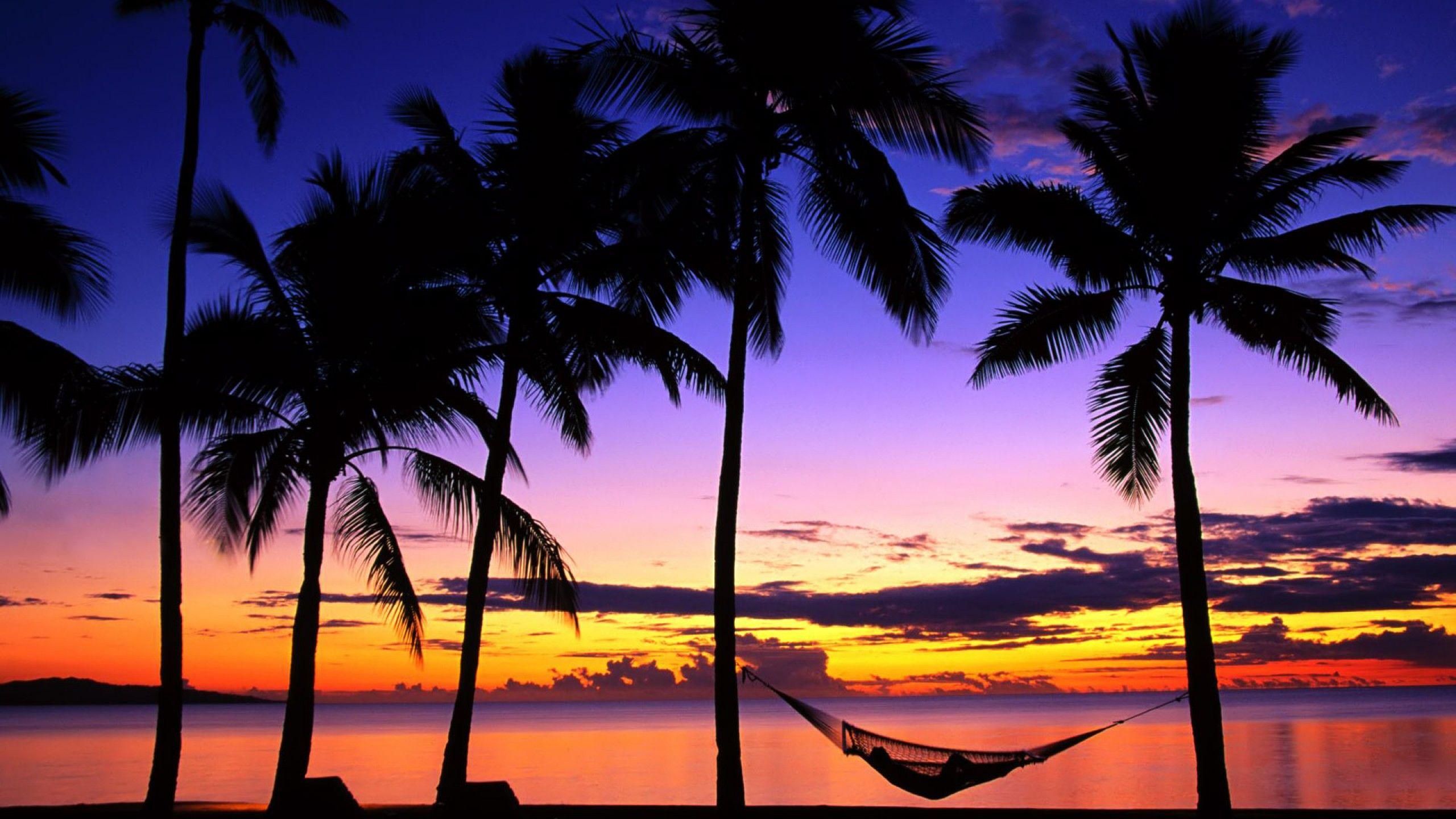 Tropical Sunset Wallpapers