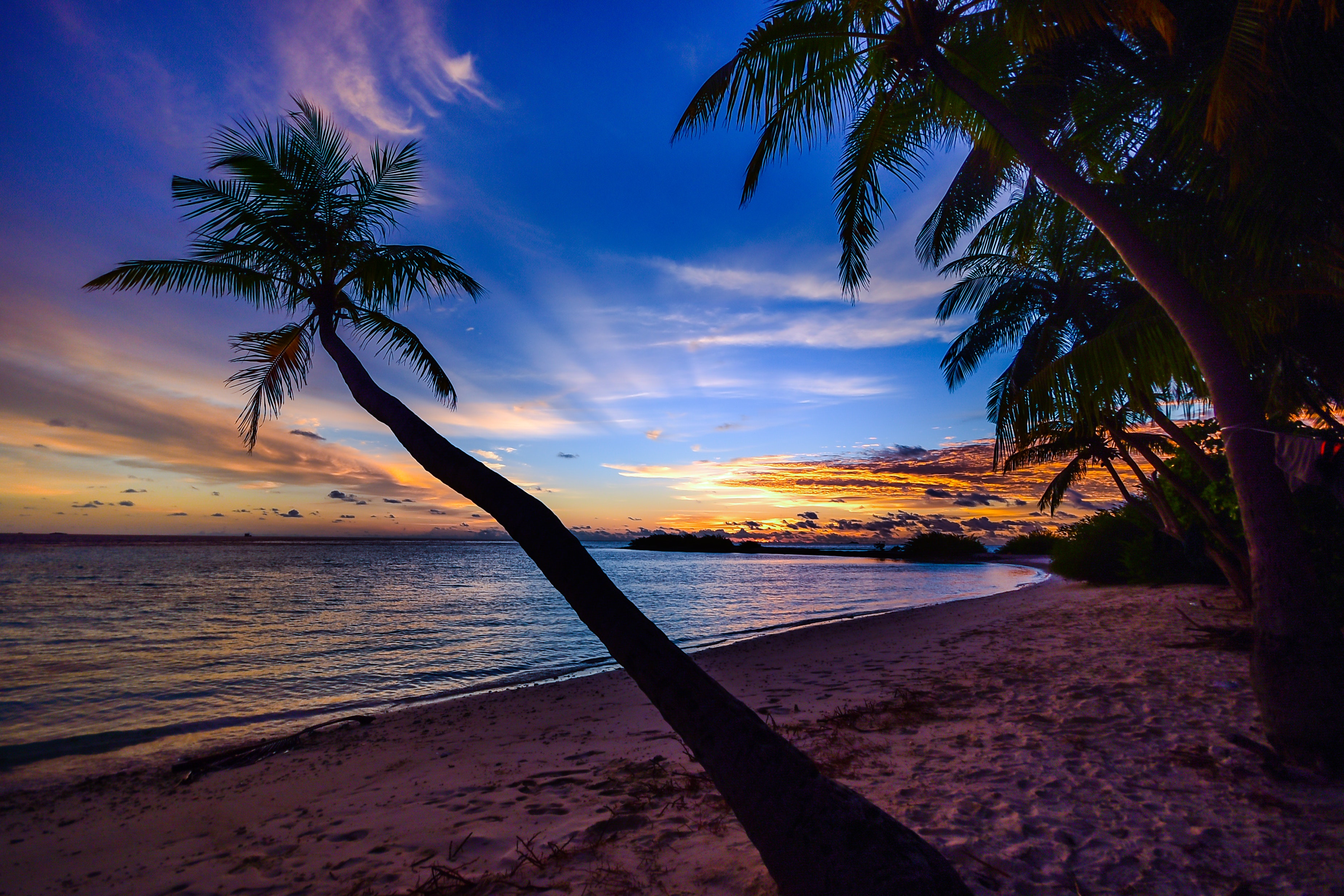 Tropical Sunset Wallpapers