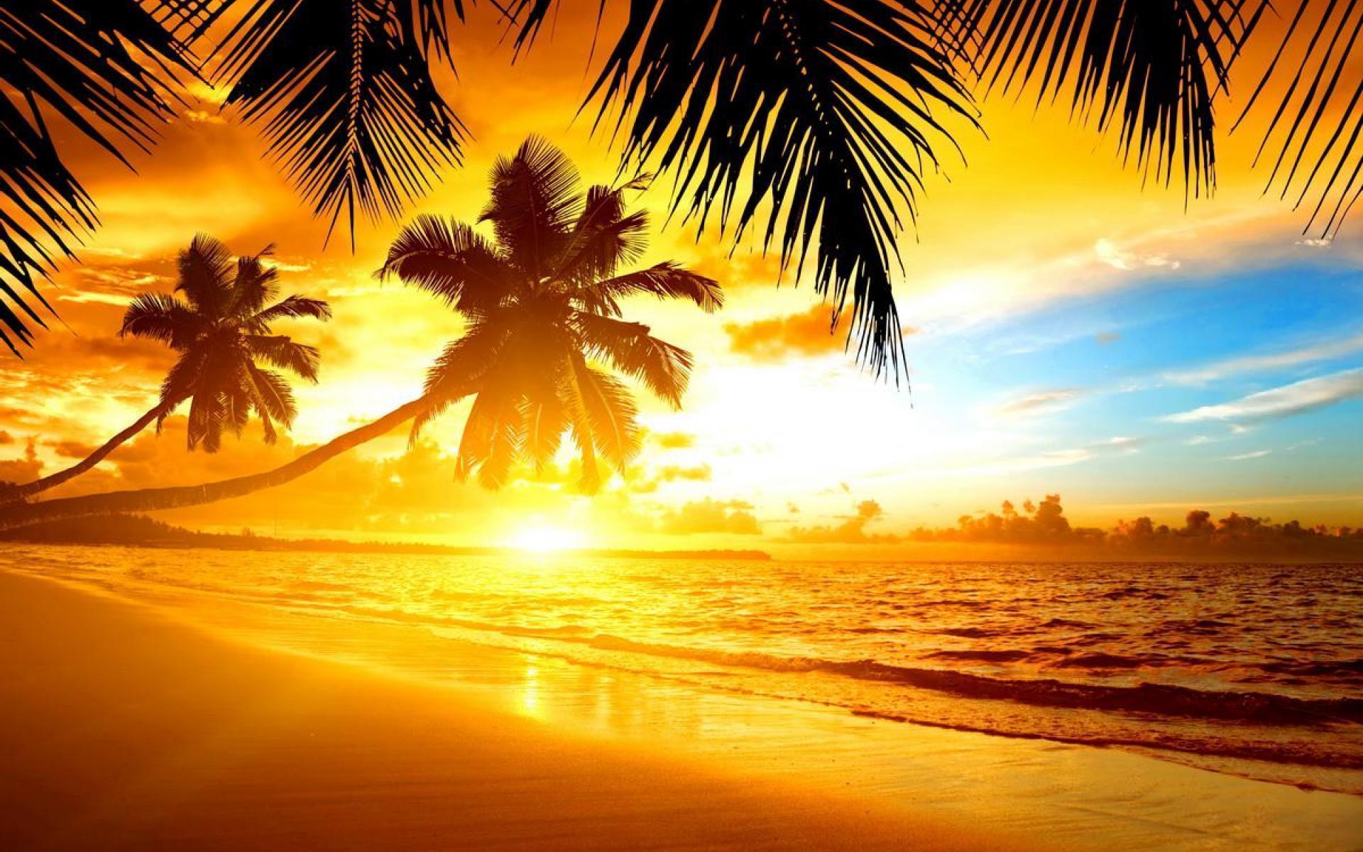 Tropical Sunset Wallpapers