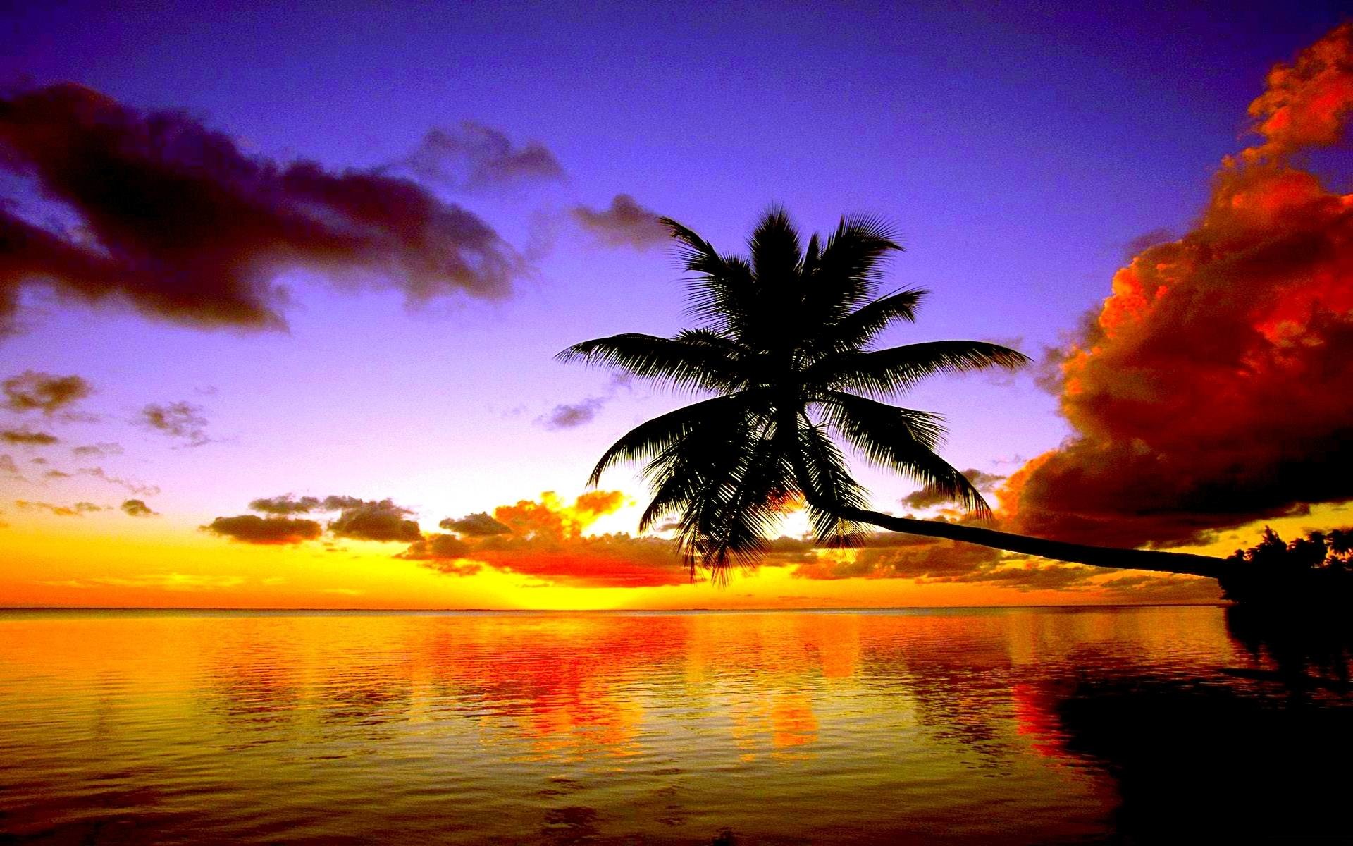 Tropical Sunset Wallpapers