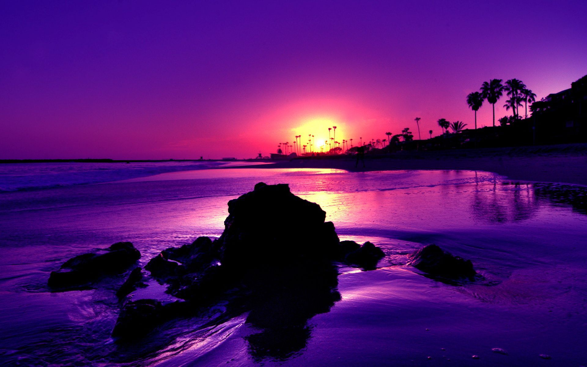 Tropical Sunset Wallpapers