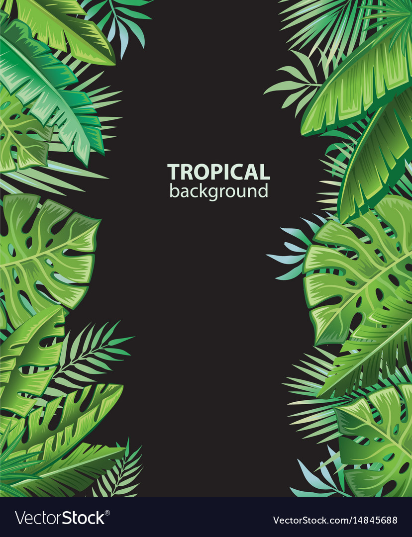 Tropical Vector Background