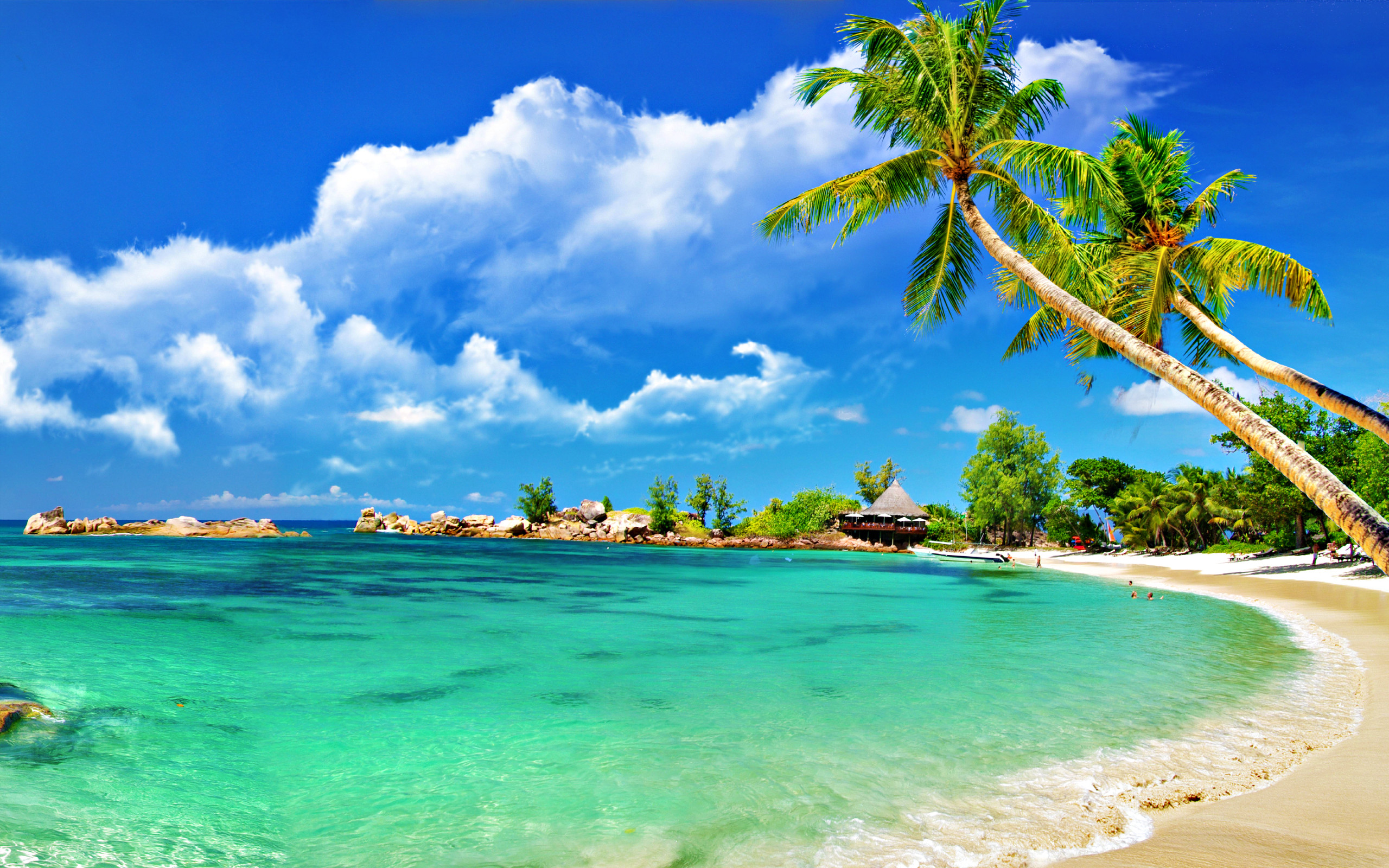 Tropical Wallpapers