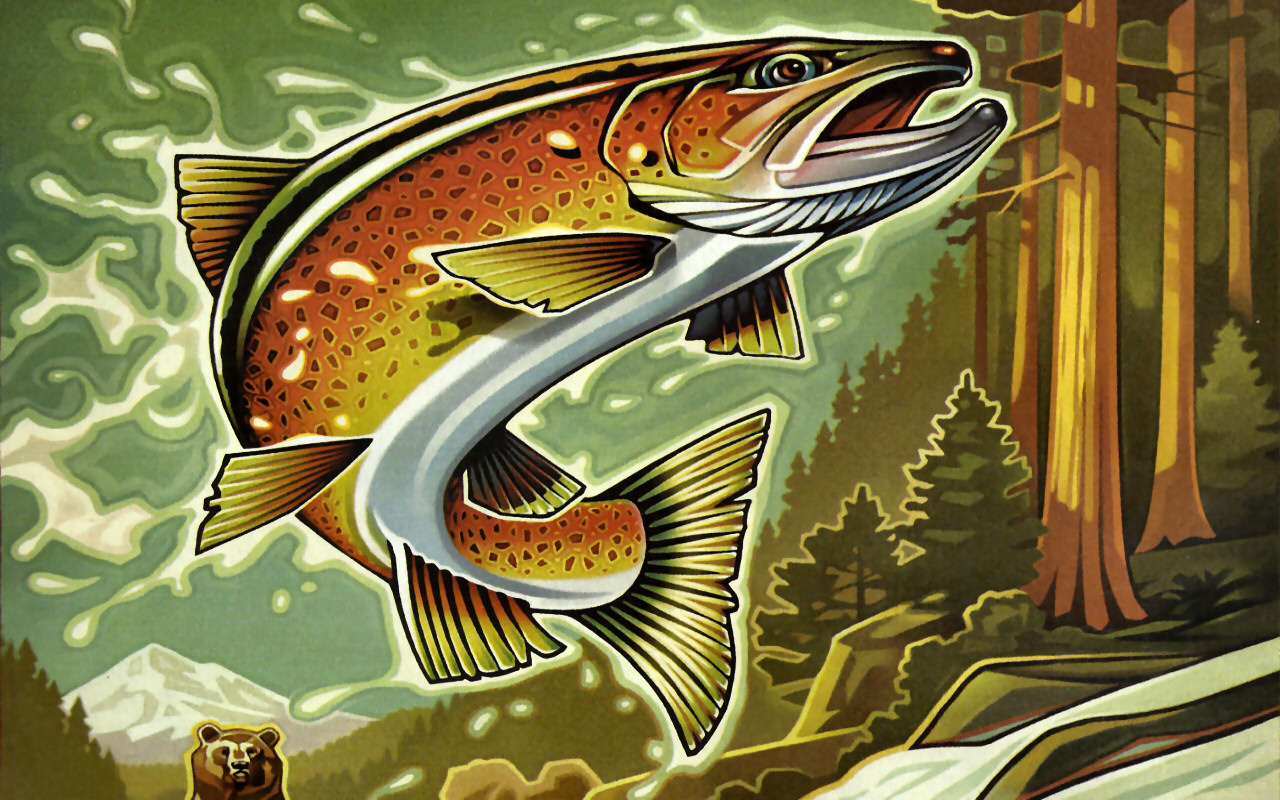 Trout Wall Paper Wallpapers