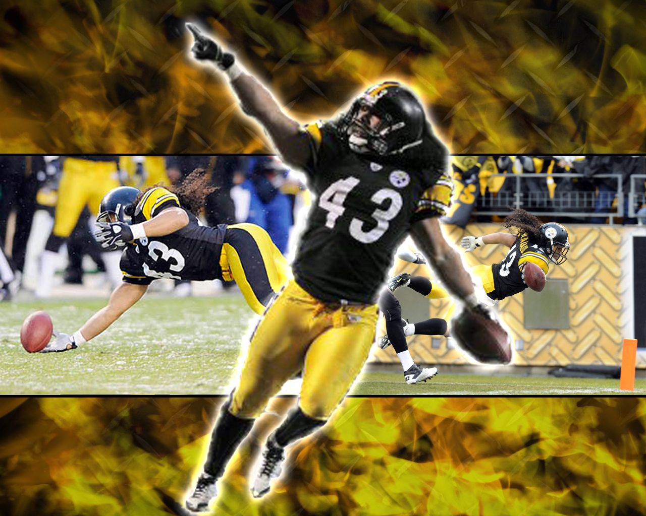 Troy Polamalu Wallpapers