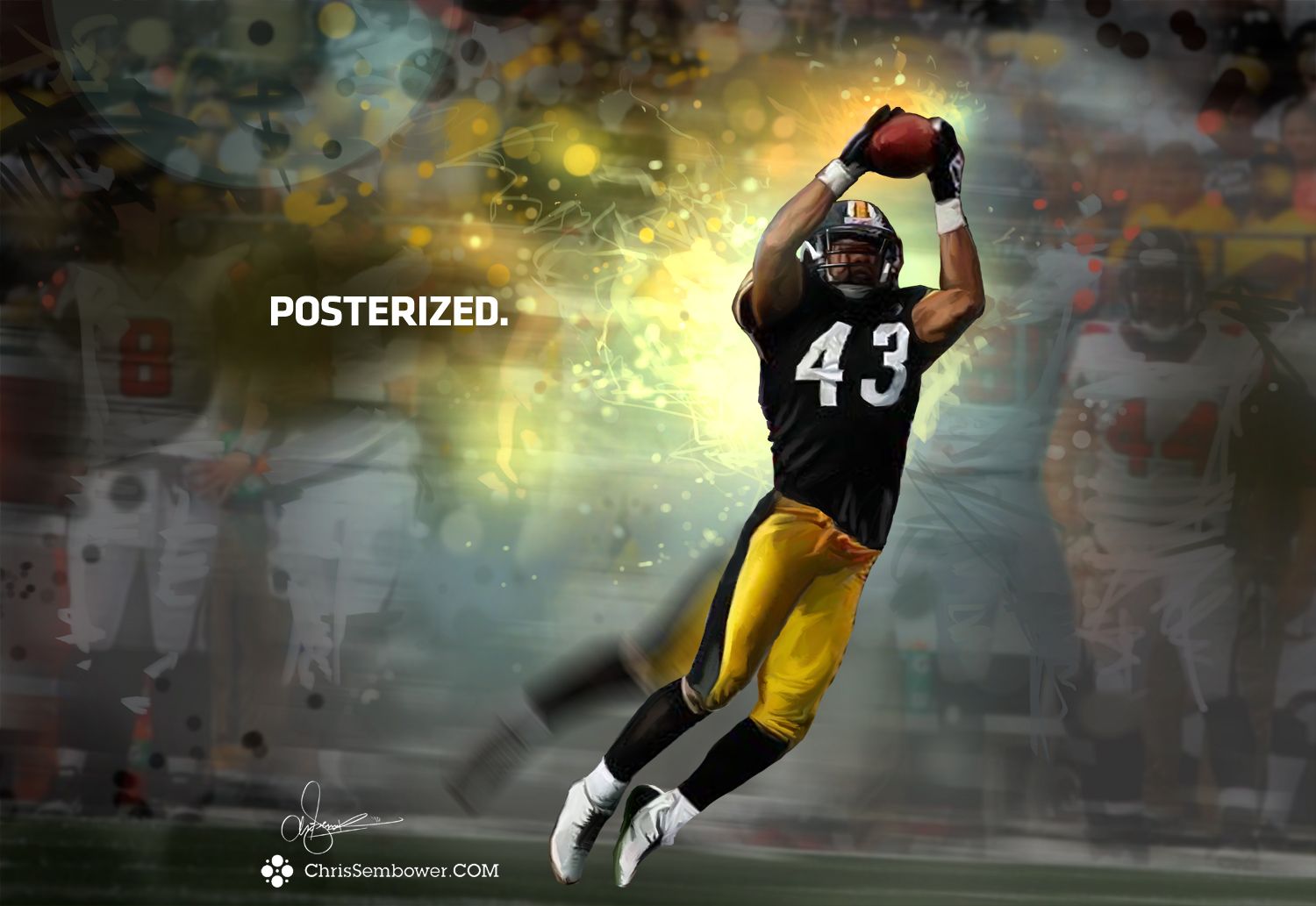 Troy Polamalu Wallpapers