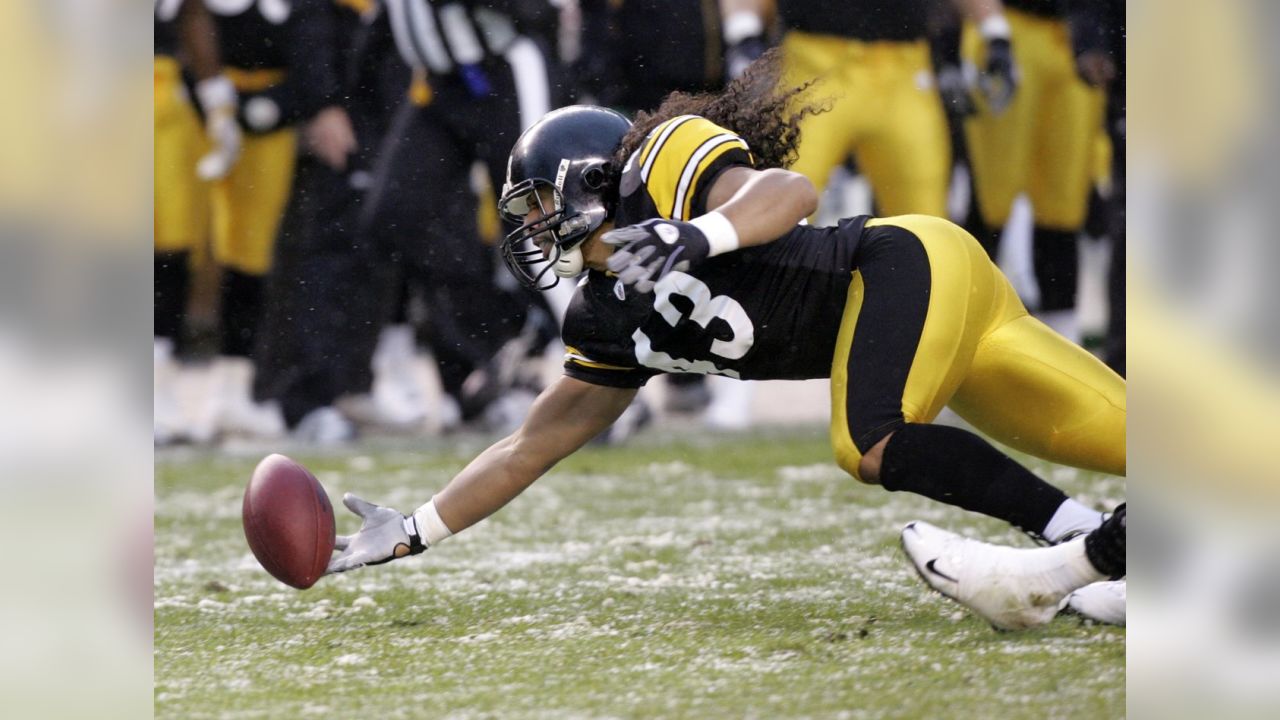 Troy Polamalu Wallpapers