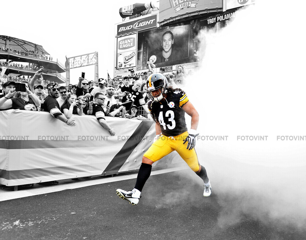 Troy Polamalu Wallpapers