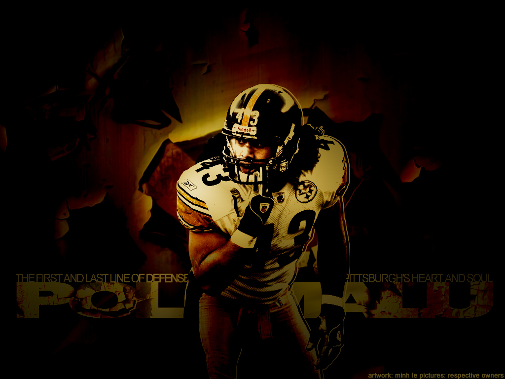 Troy Polamalu Wallpapers