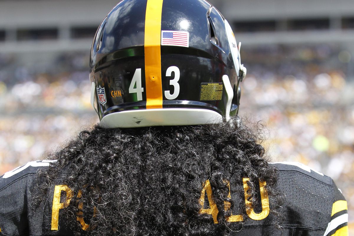 Troy Polamalu Wallpapers