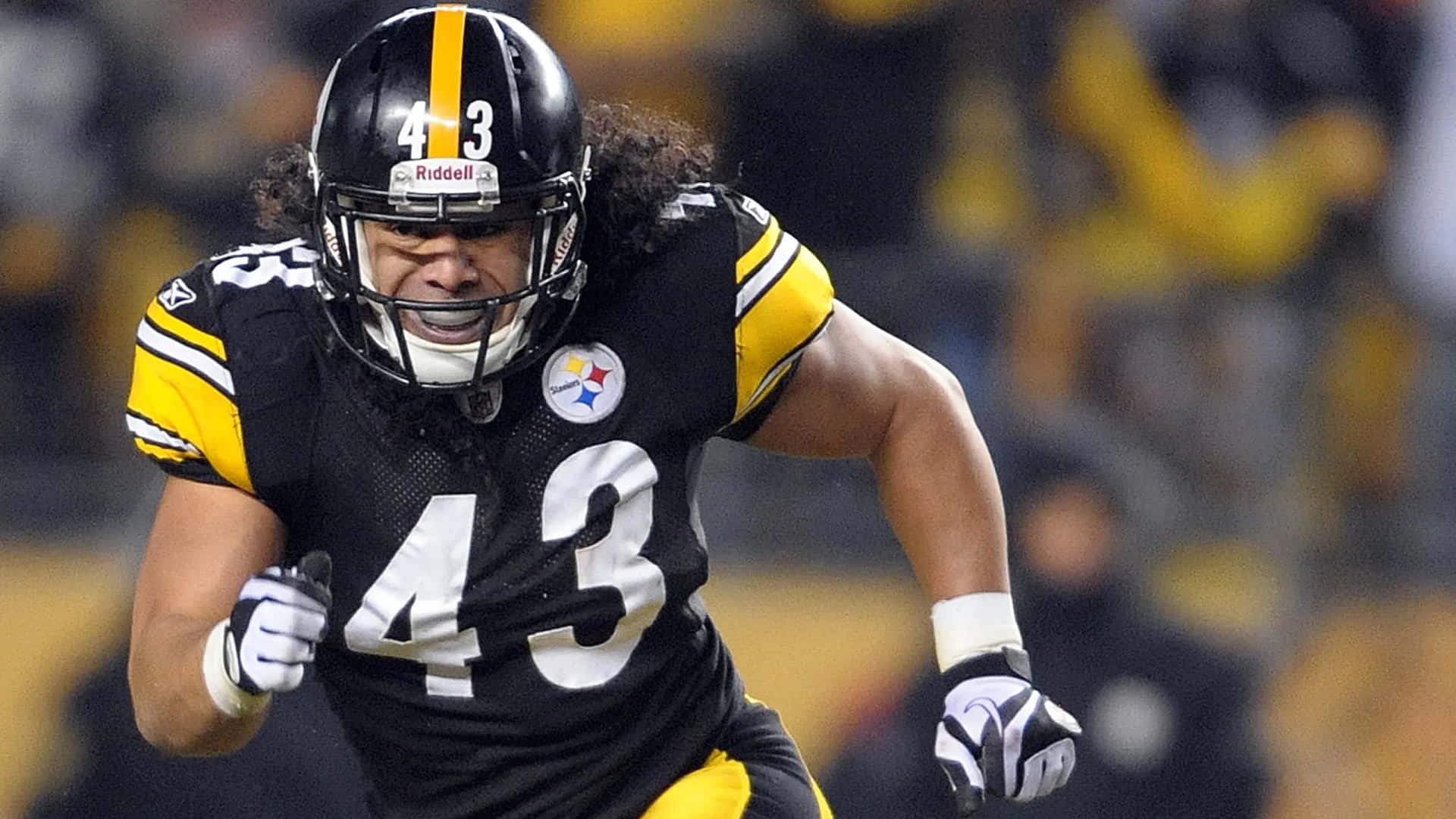 Troy Polamalu Wallpapers