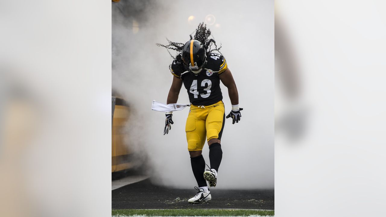 Troy Polamalu Wallpapers