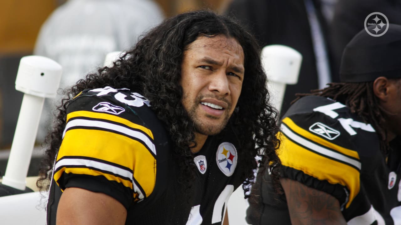 Troy Polamalu Wallpapers