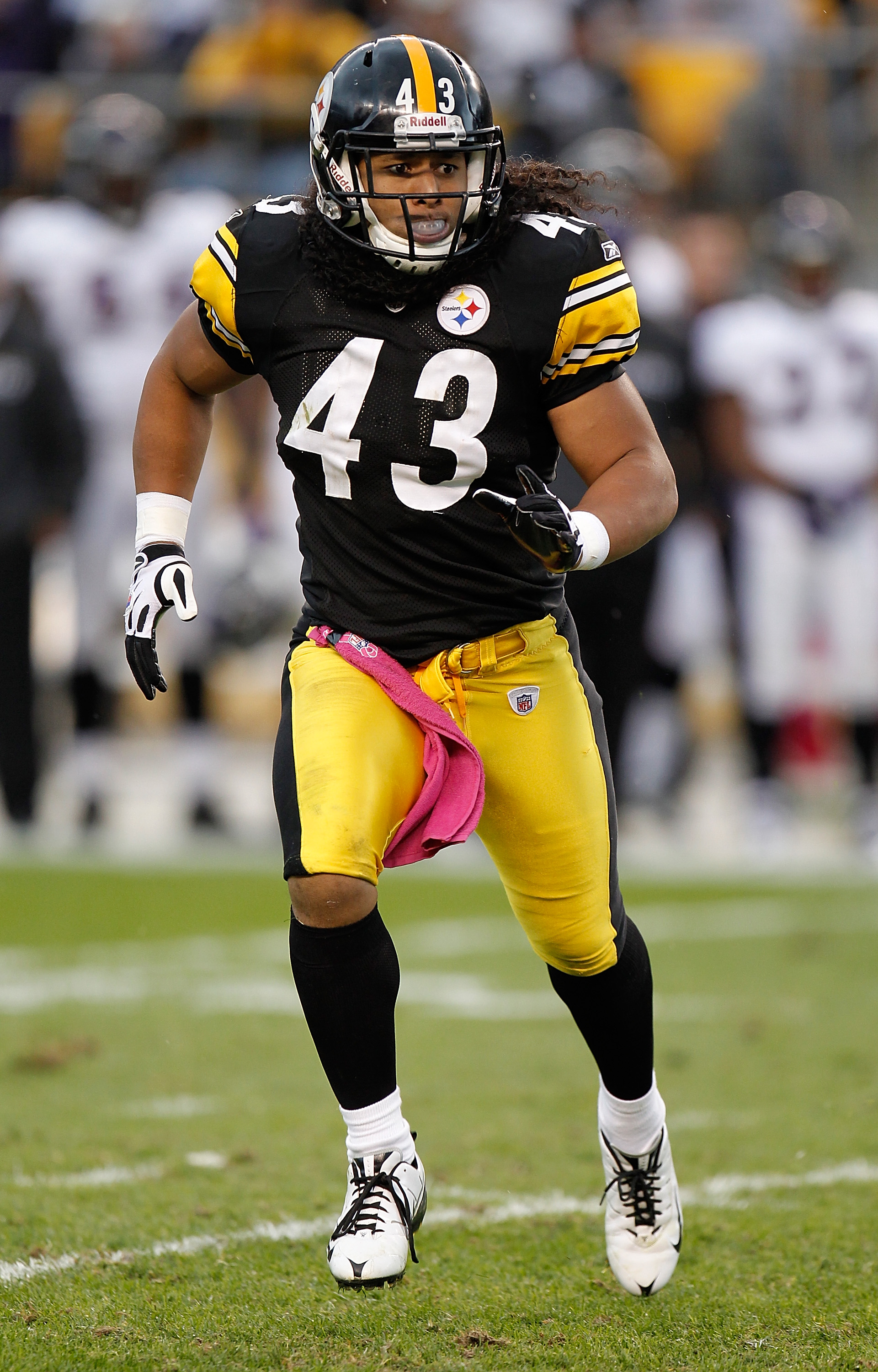 Troy Polamalu Wallpapers