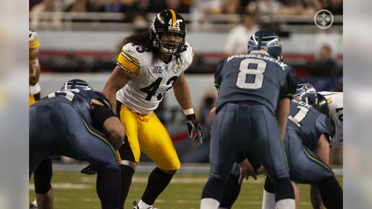 Troy Polamalu Wallpapers