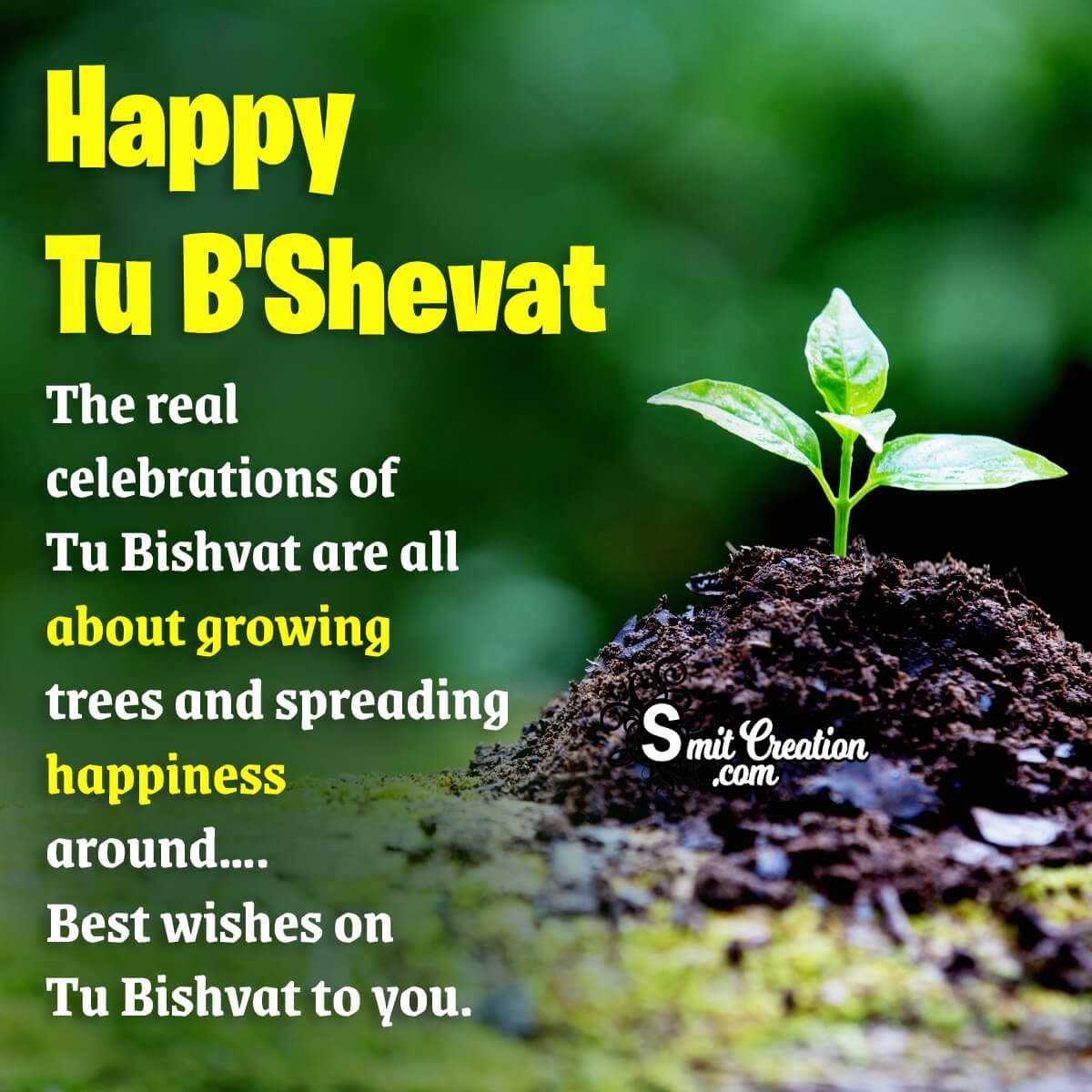 Tu Bishvat Wallpapers