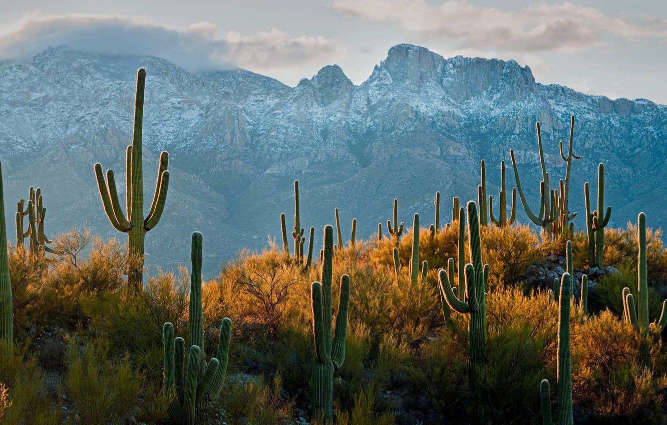 Tucson Arizona Wallpapers